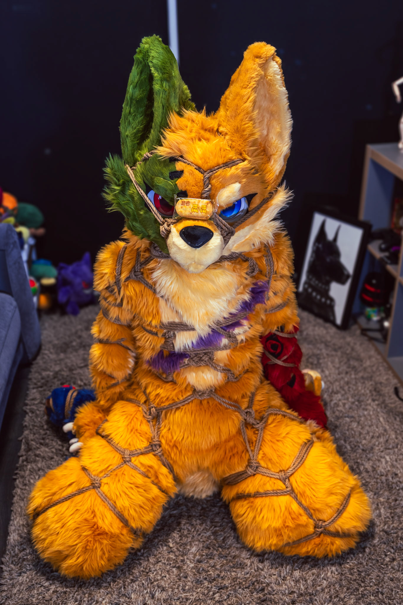 Shibari Inu