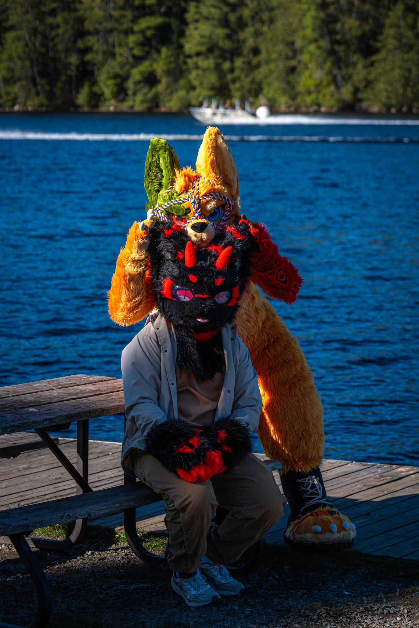 Algonquin Fall Colour