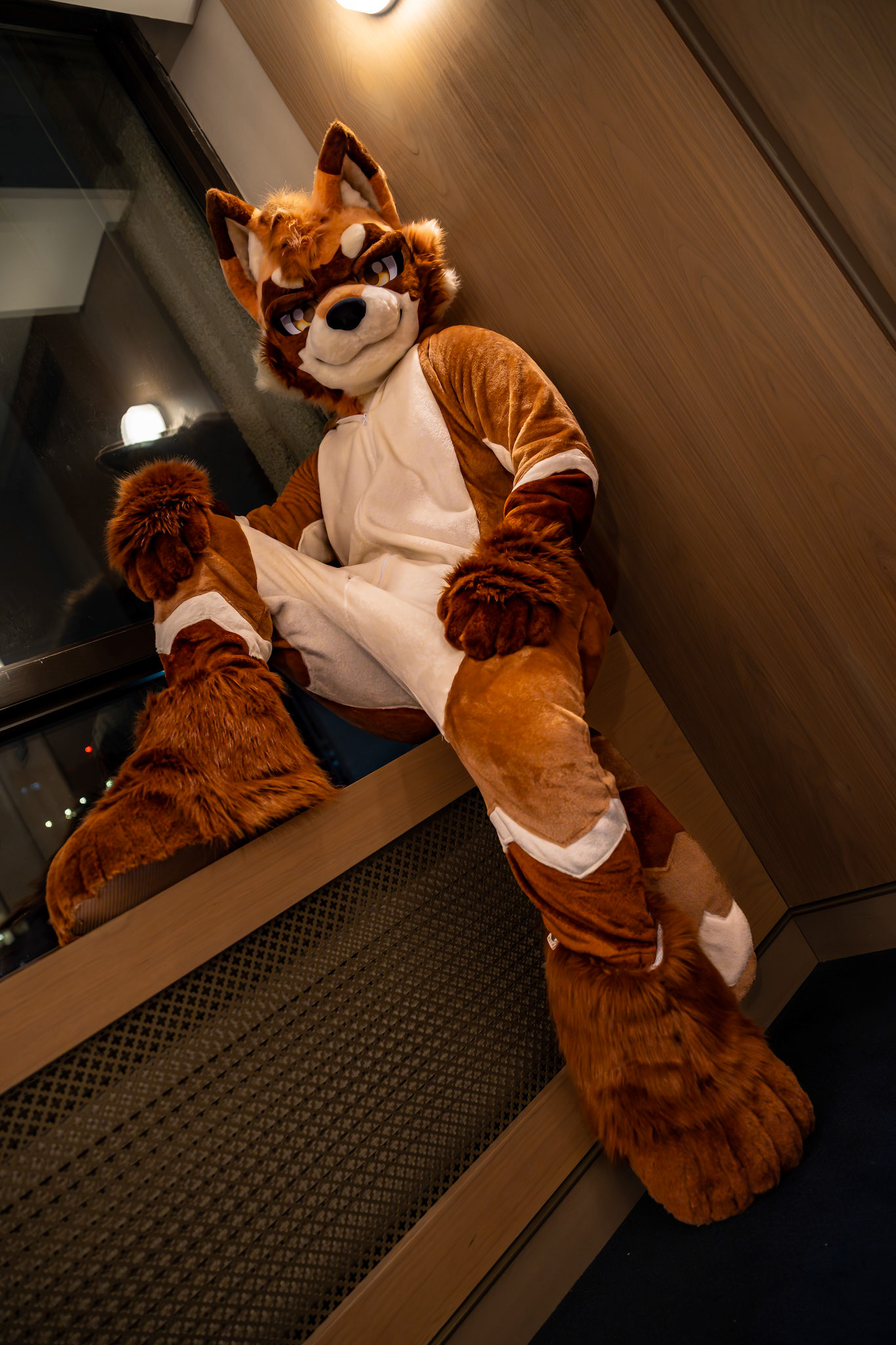 Furnal Equinox