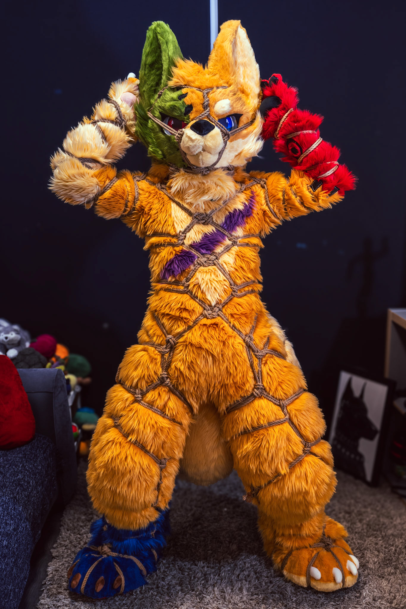 Shibari Inu