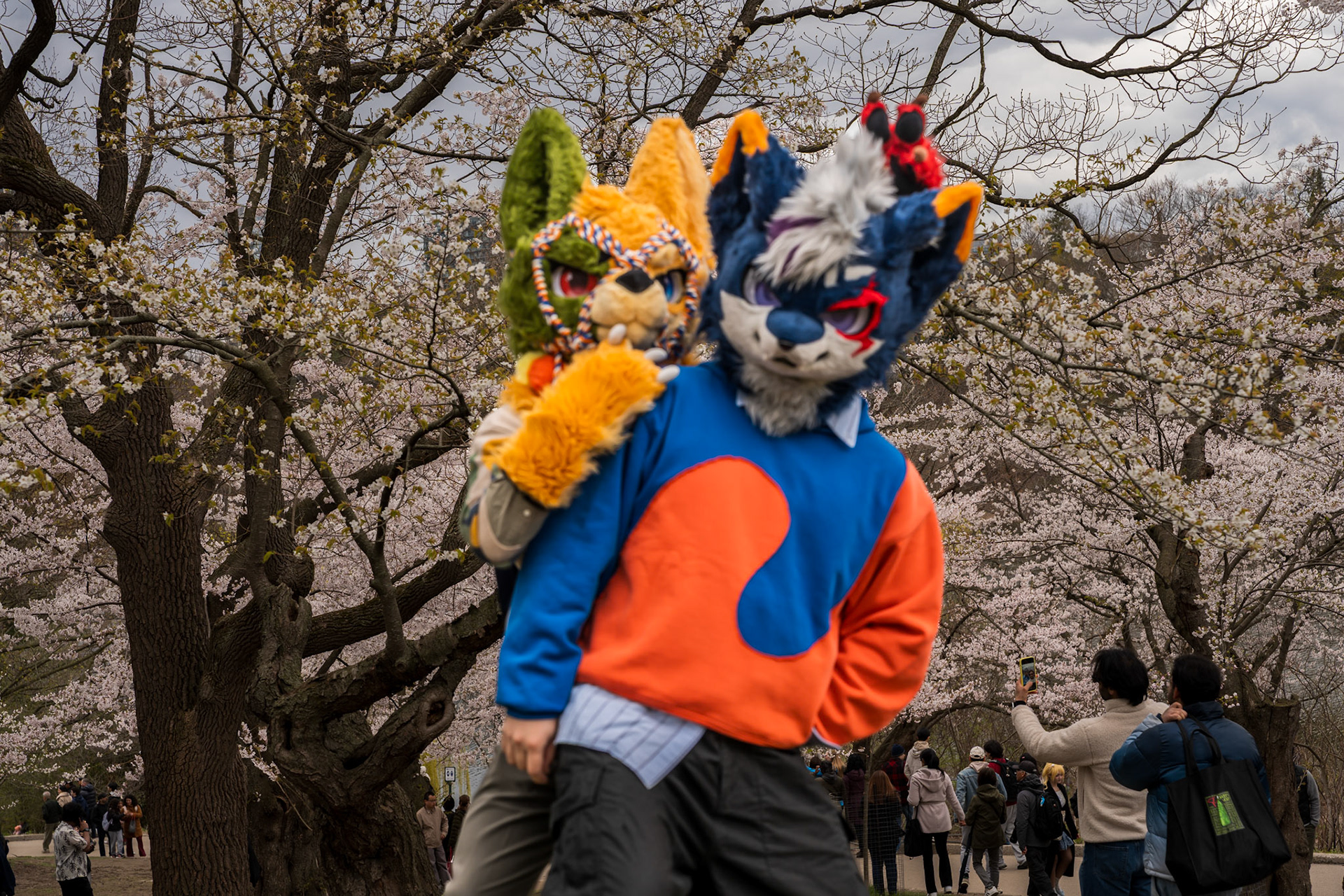 High Park 4.0