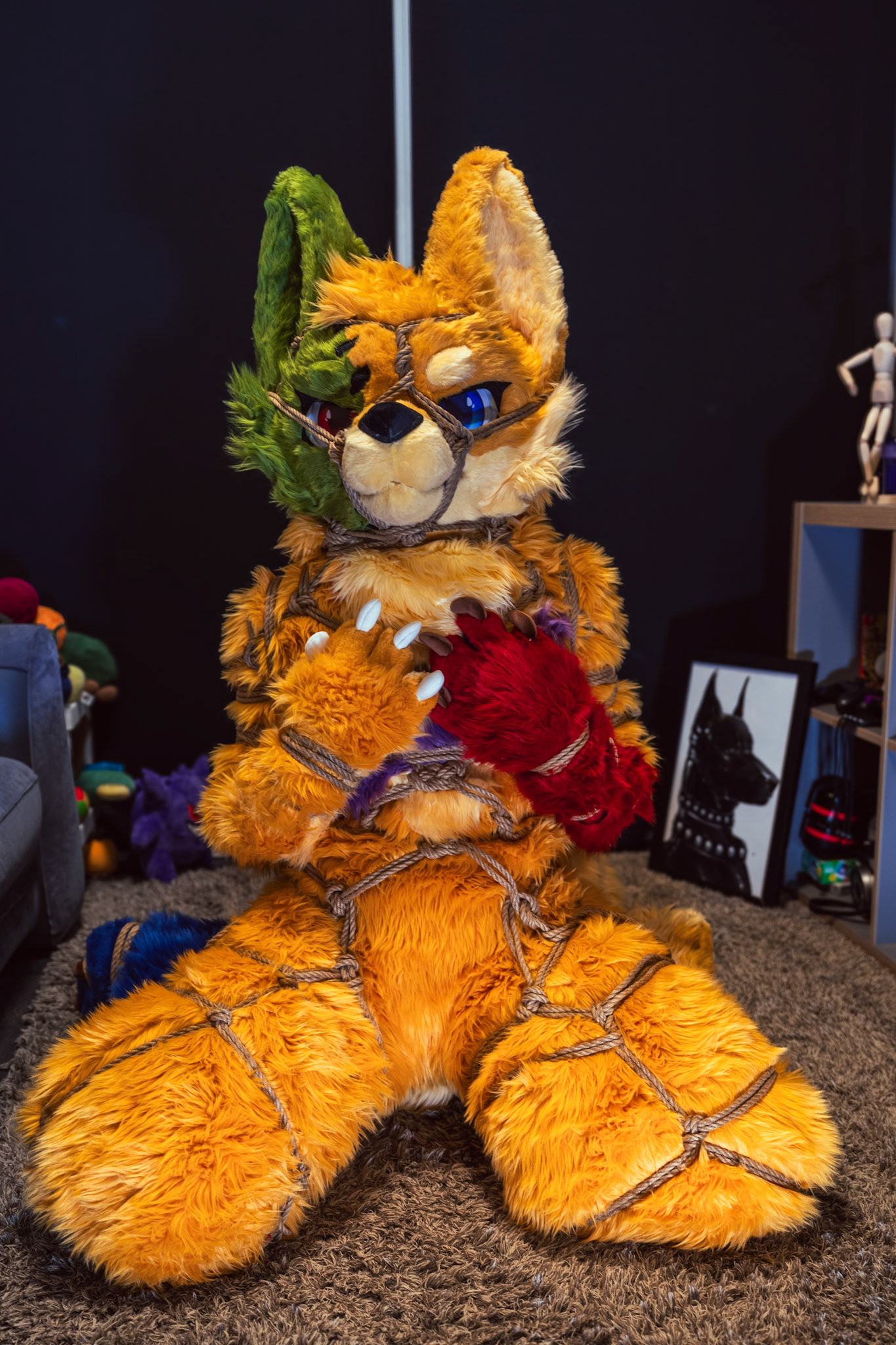 Shibari Inu