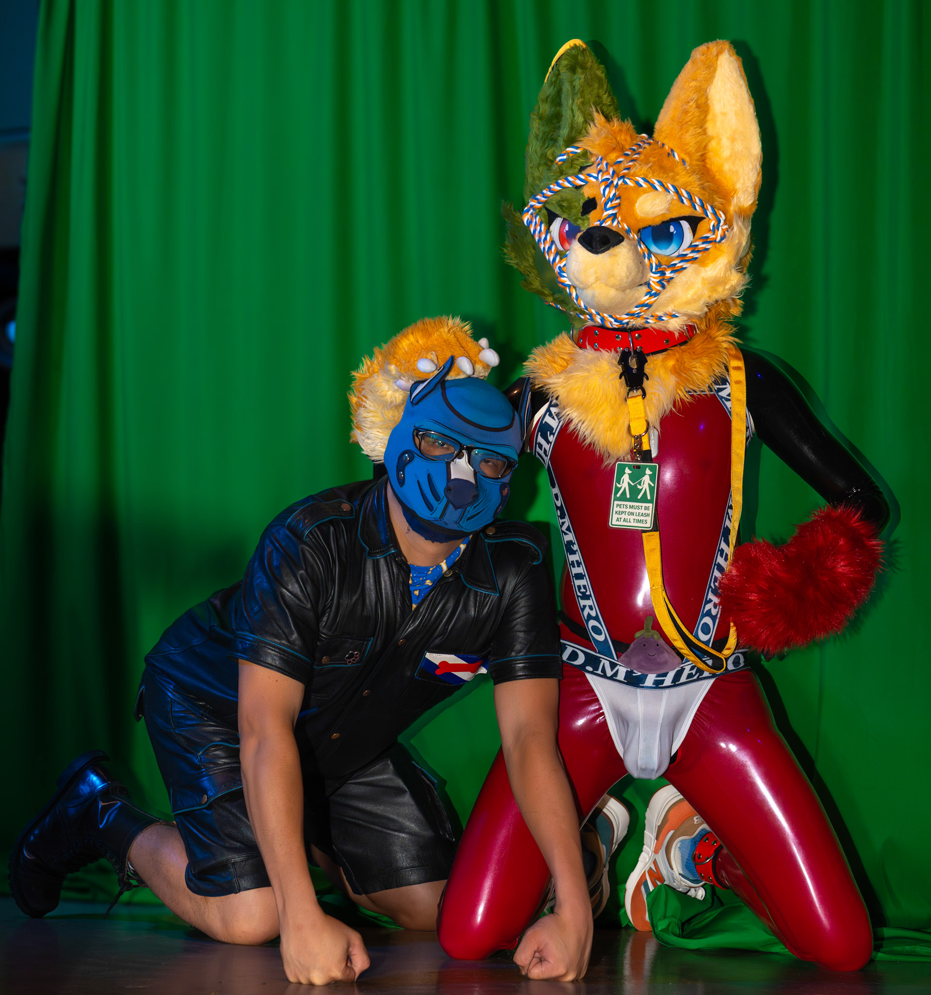 Pawty #2