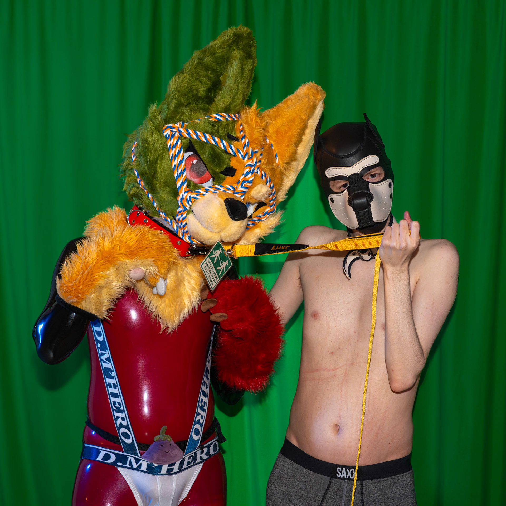 Pawty #2