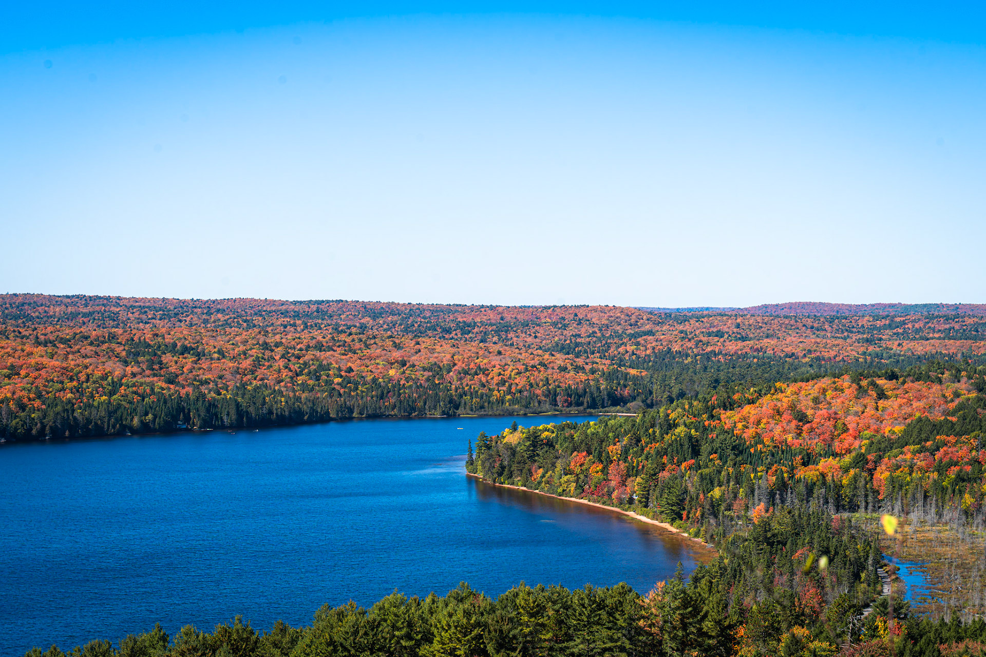 Algonquin Fall Colour
