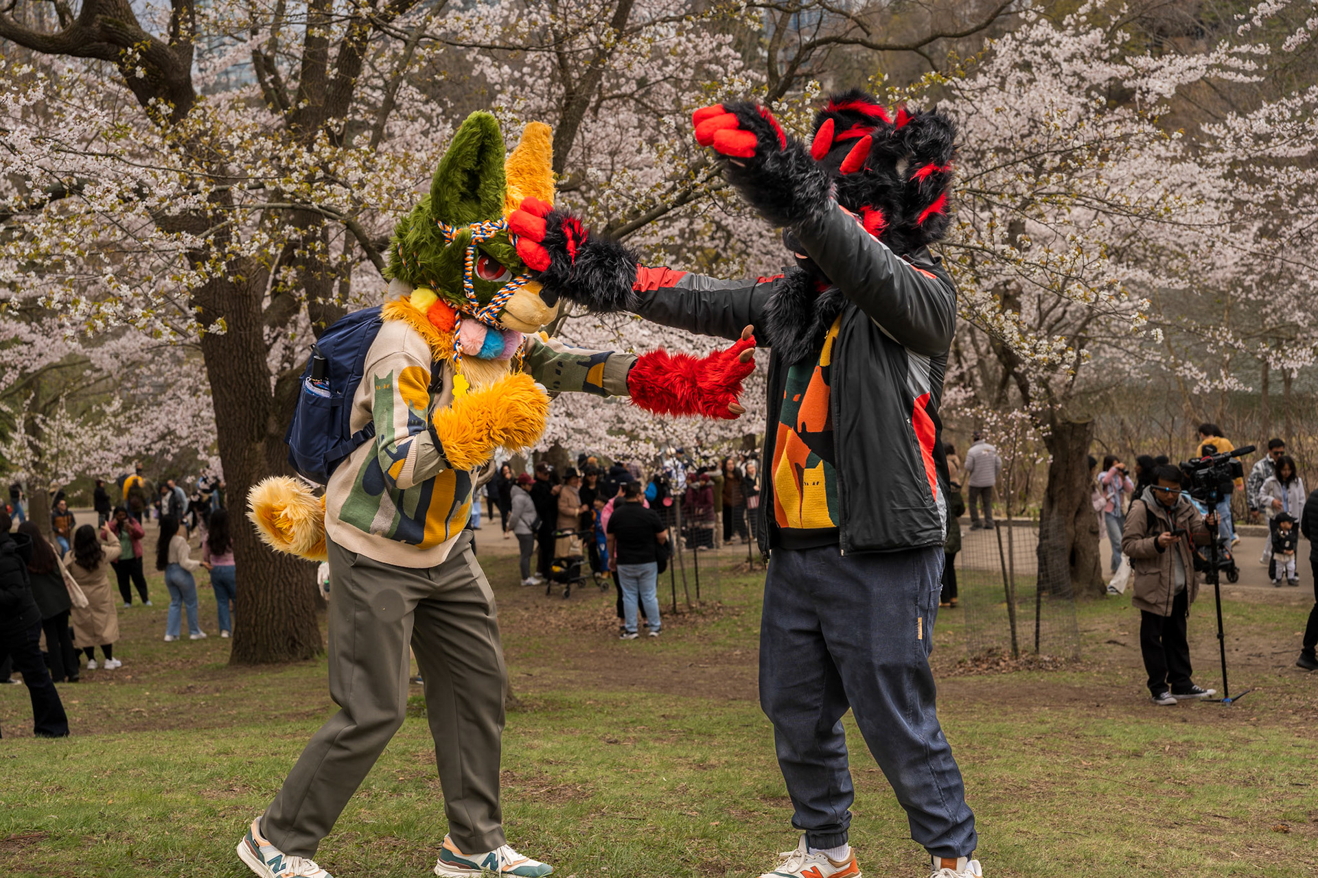 High Park 4.0