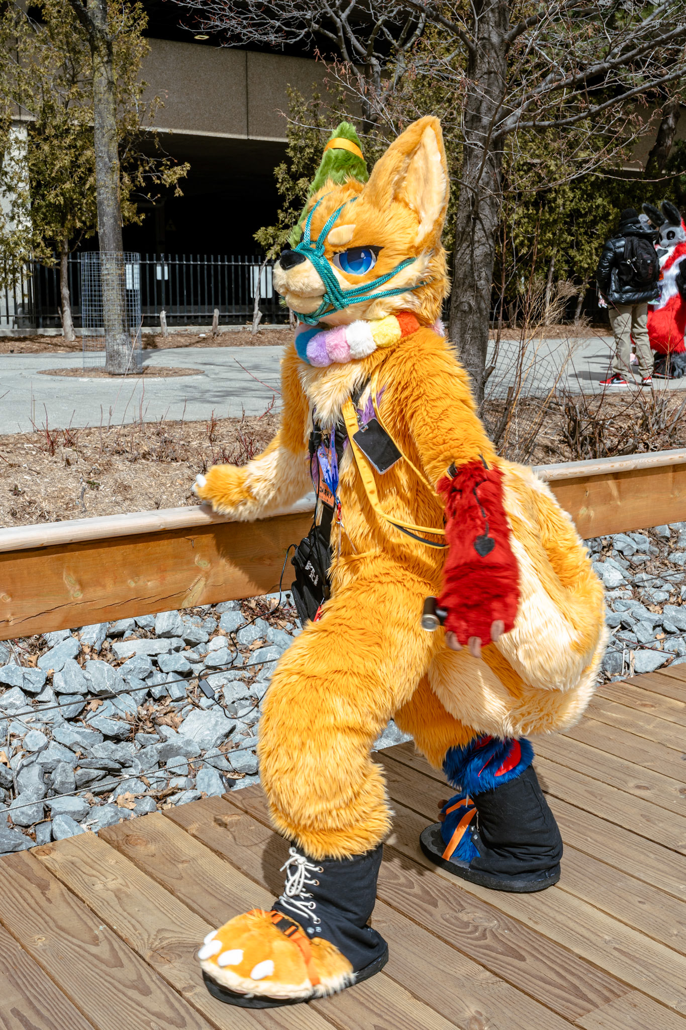 Furnal Equinox 2025