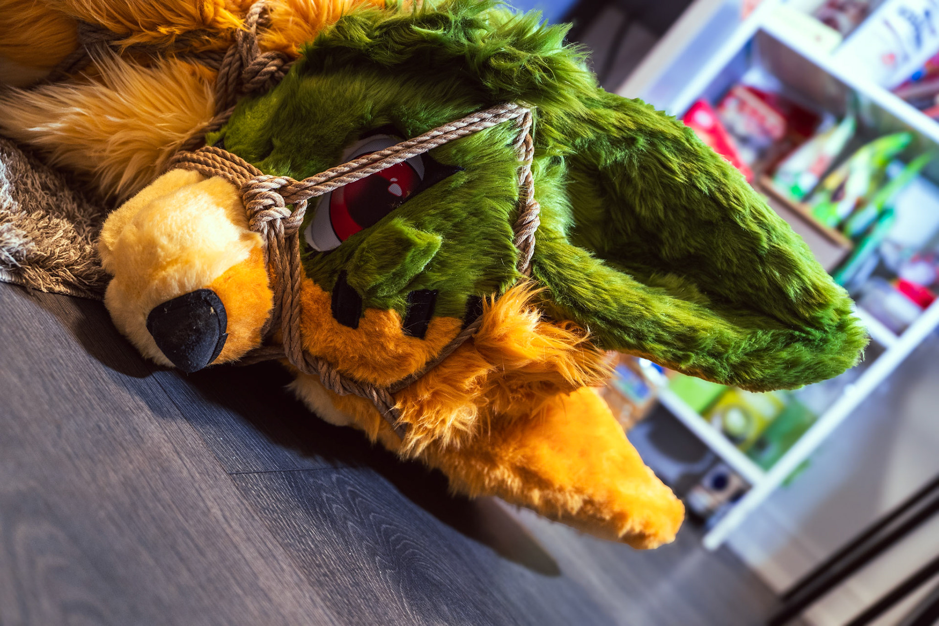 Shibari Inu