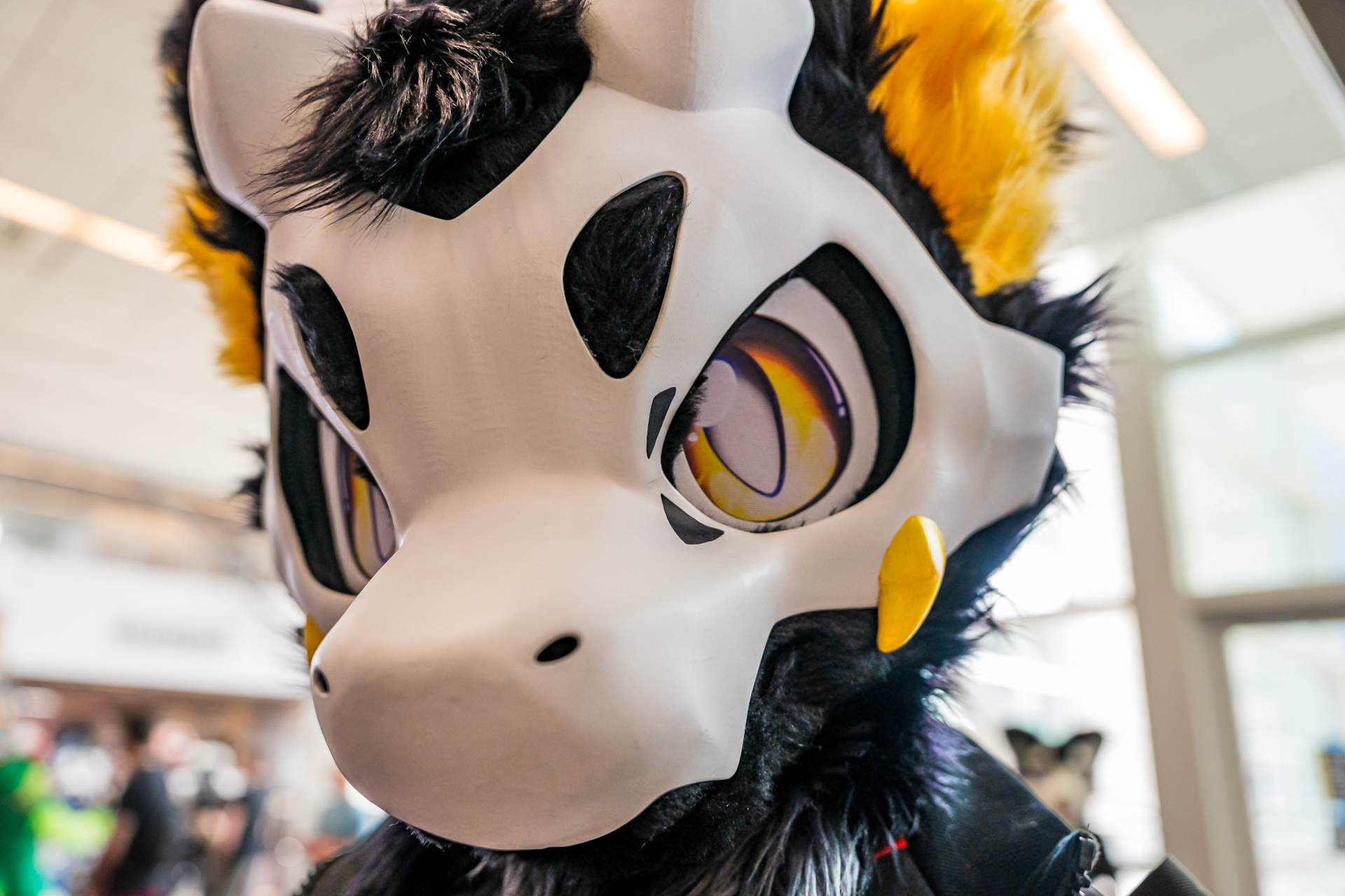Anthrocon 2026