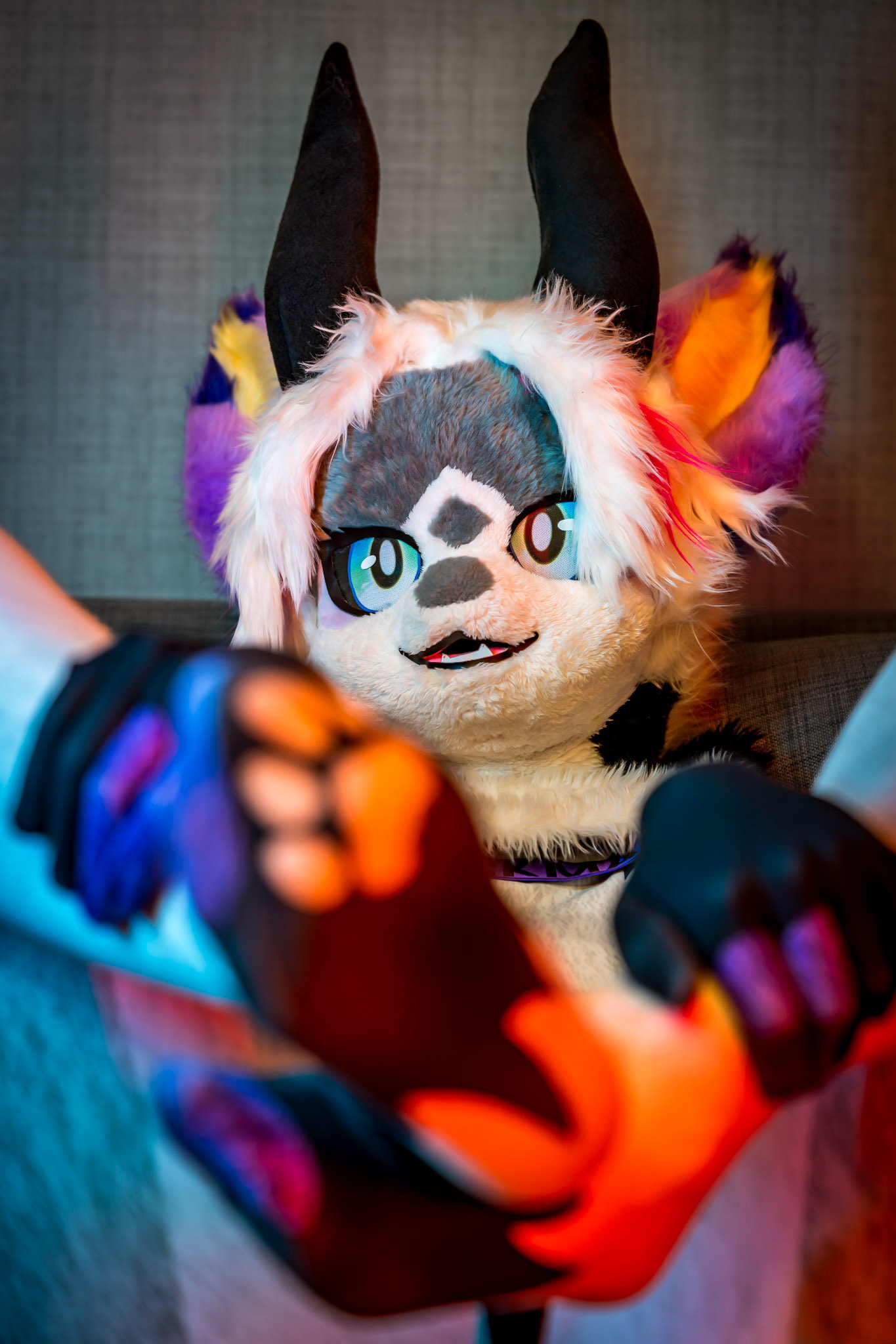 Anthrocon 2026