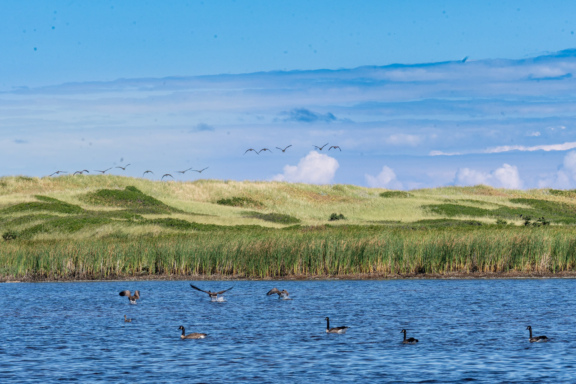 PEI Labour Day Trip