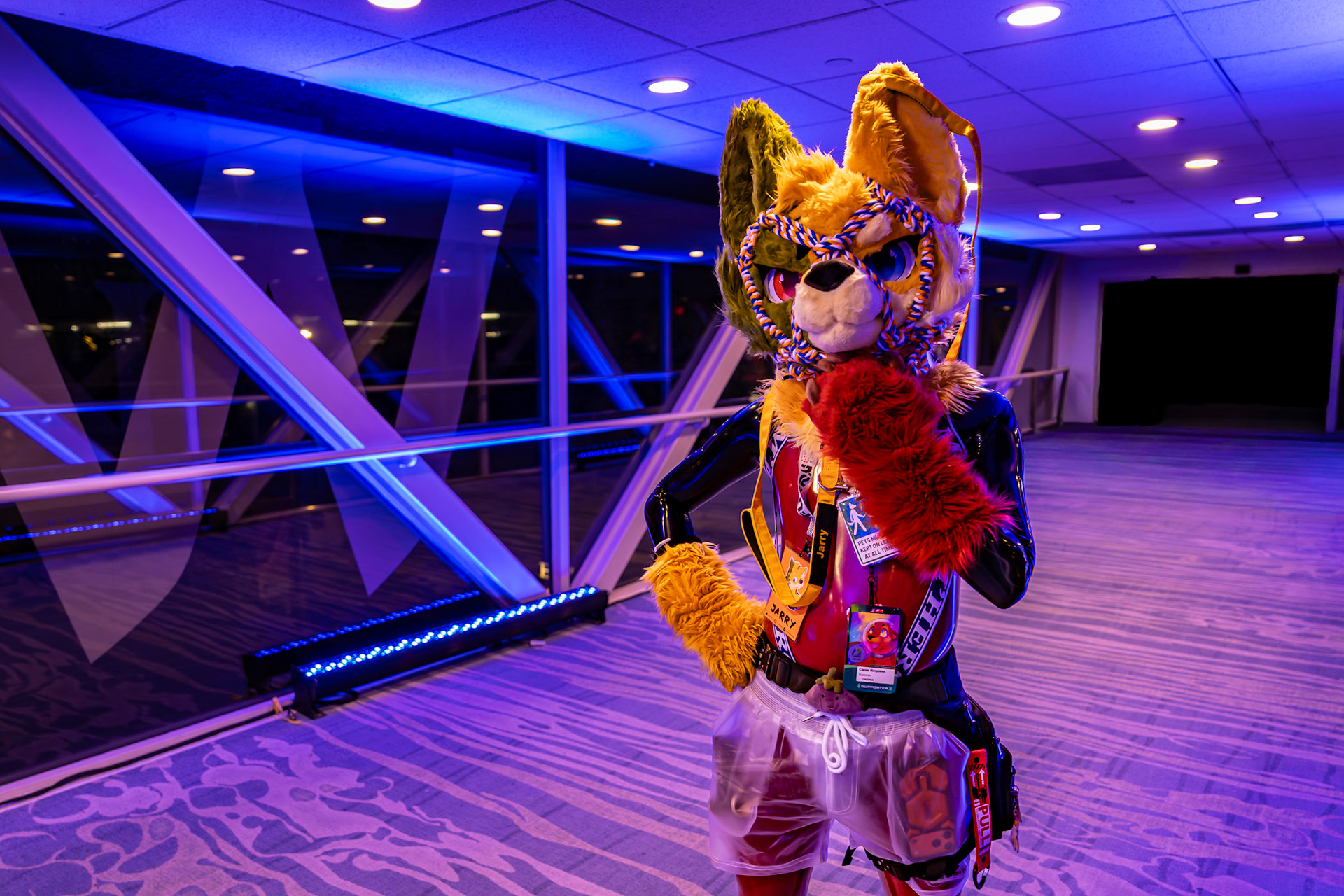 Furnal Equinox