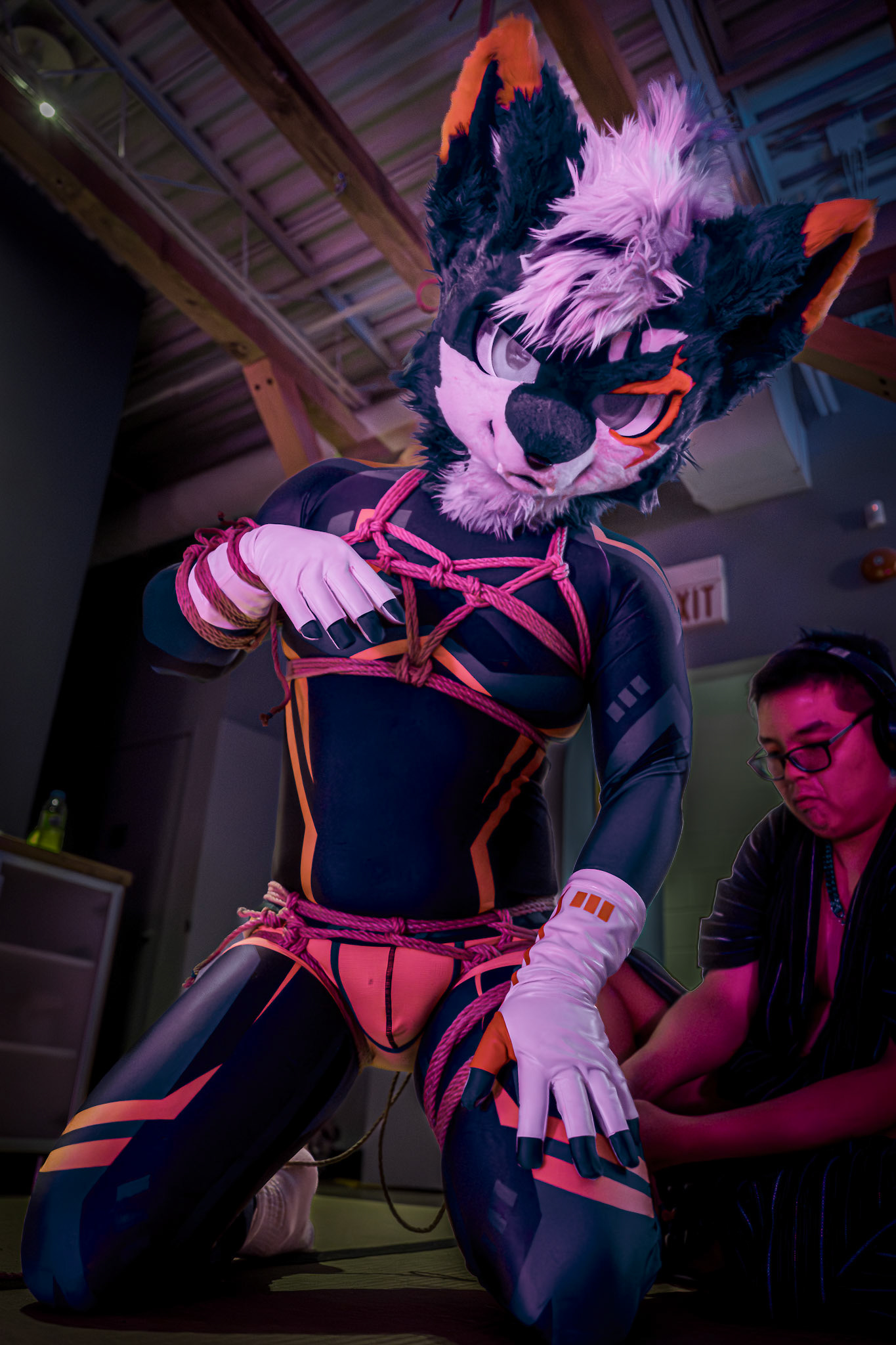 Kinbaku [20260501]