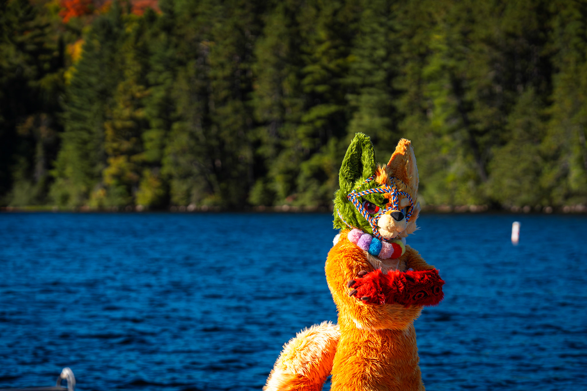 Algonquin Fall Colour