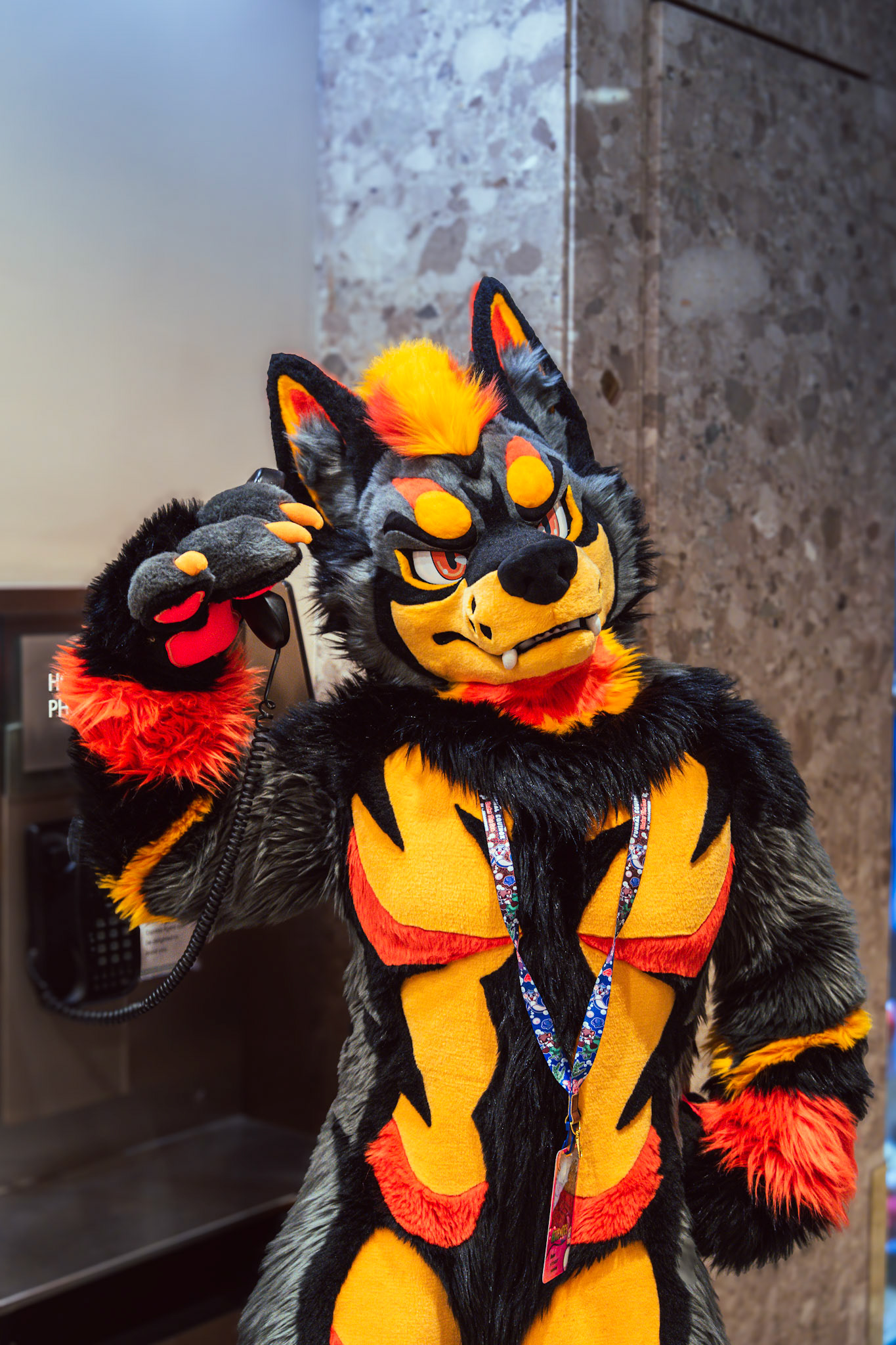 Furnal Equinox 2025