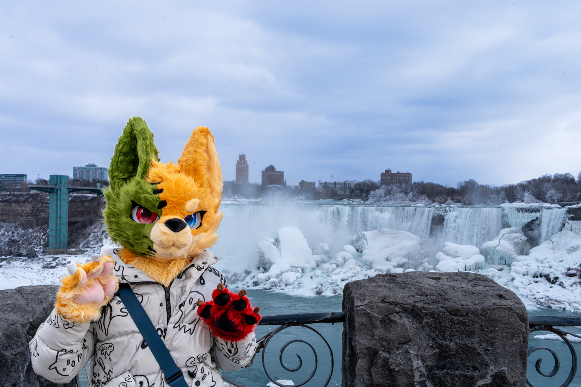 Niagara Winters