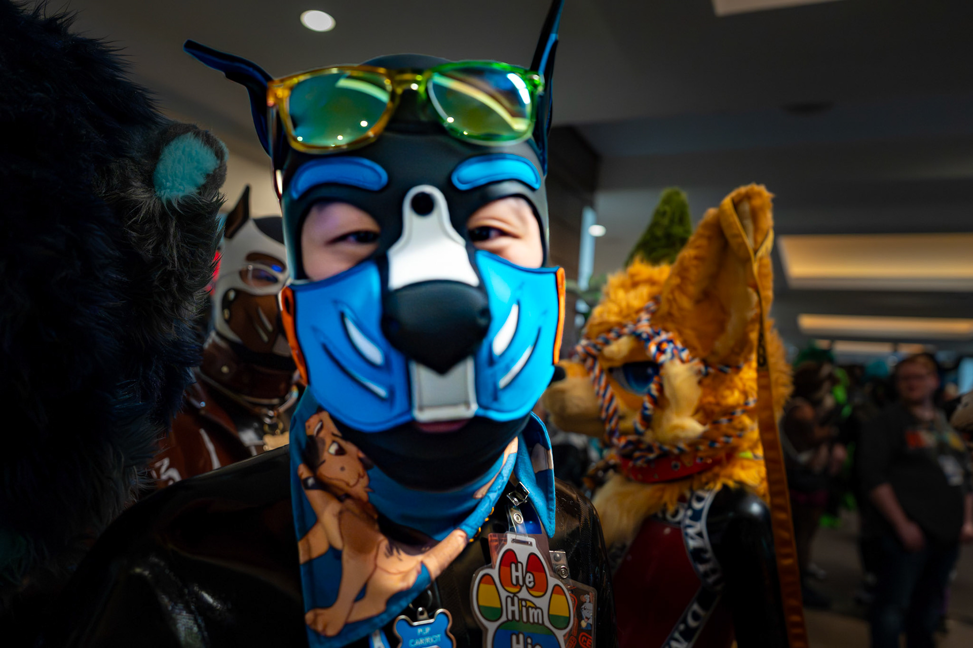 Furnal Equinox