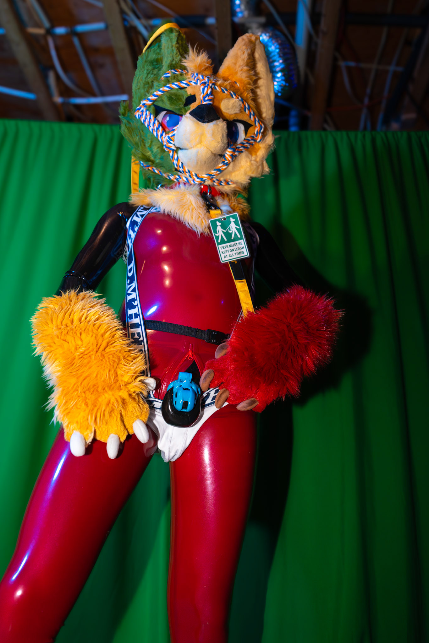 Pawty #2