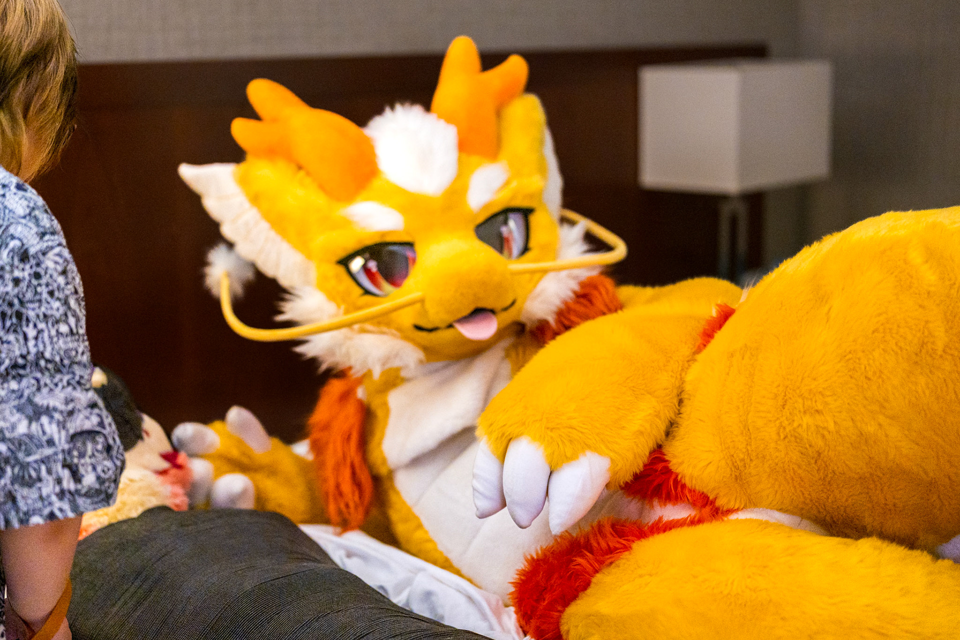 Anthrocon 2026