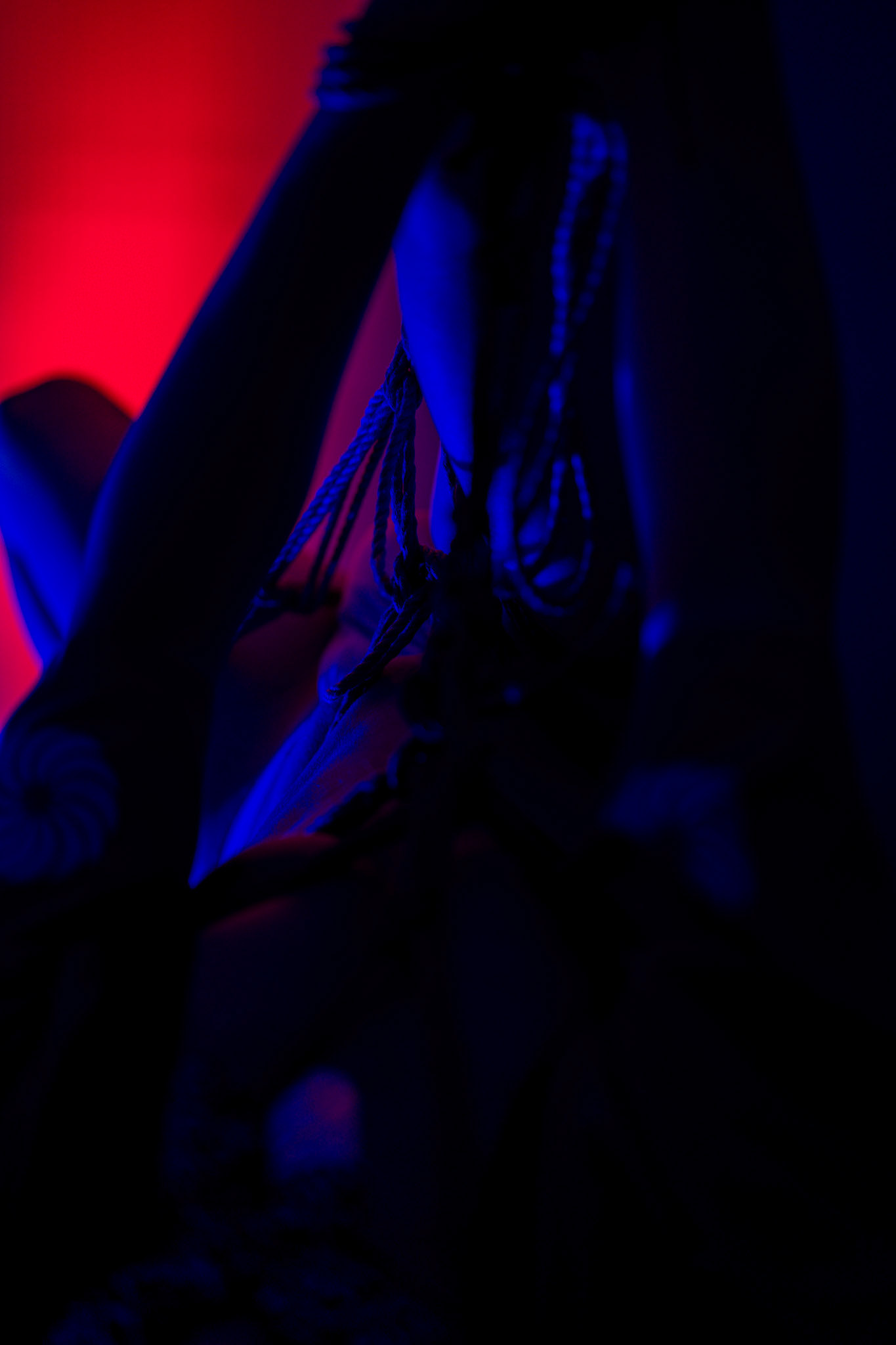 Kinbaku [20240420]