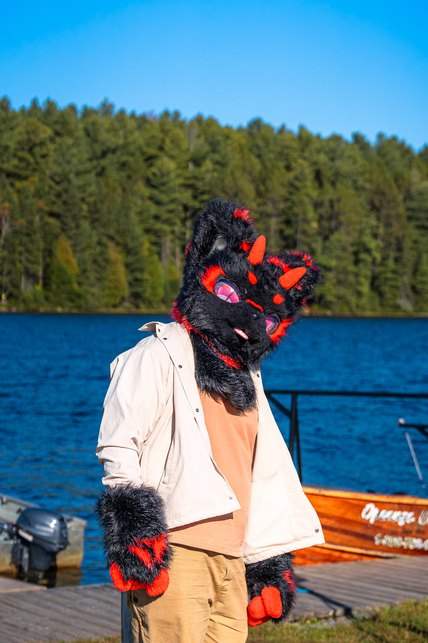 Algonquin Fall Colour