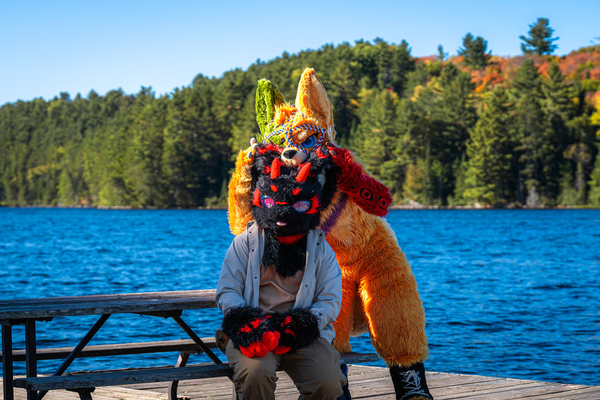 Algonquin Fall Colour
