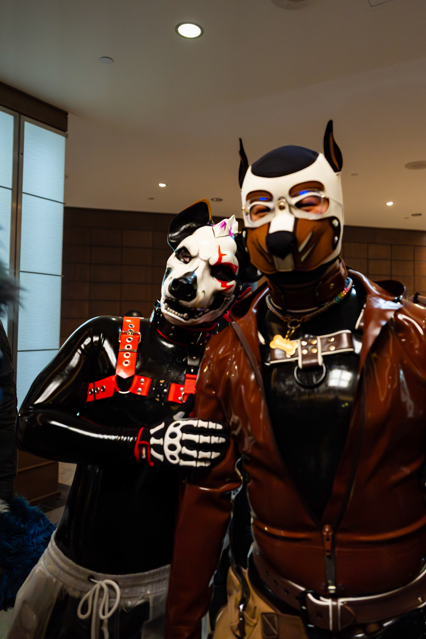 Furnal Equinox