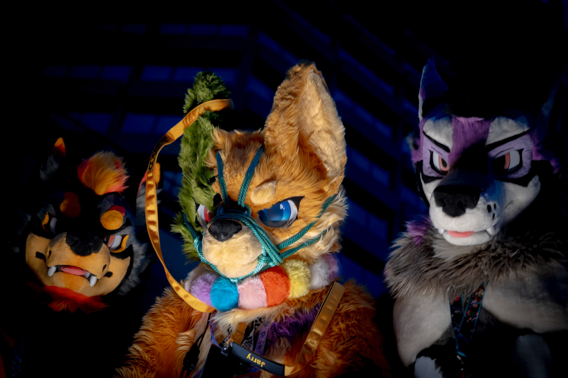 Furnal Equinox 2025