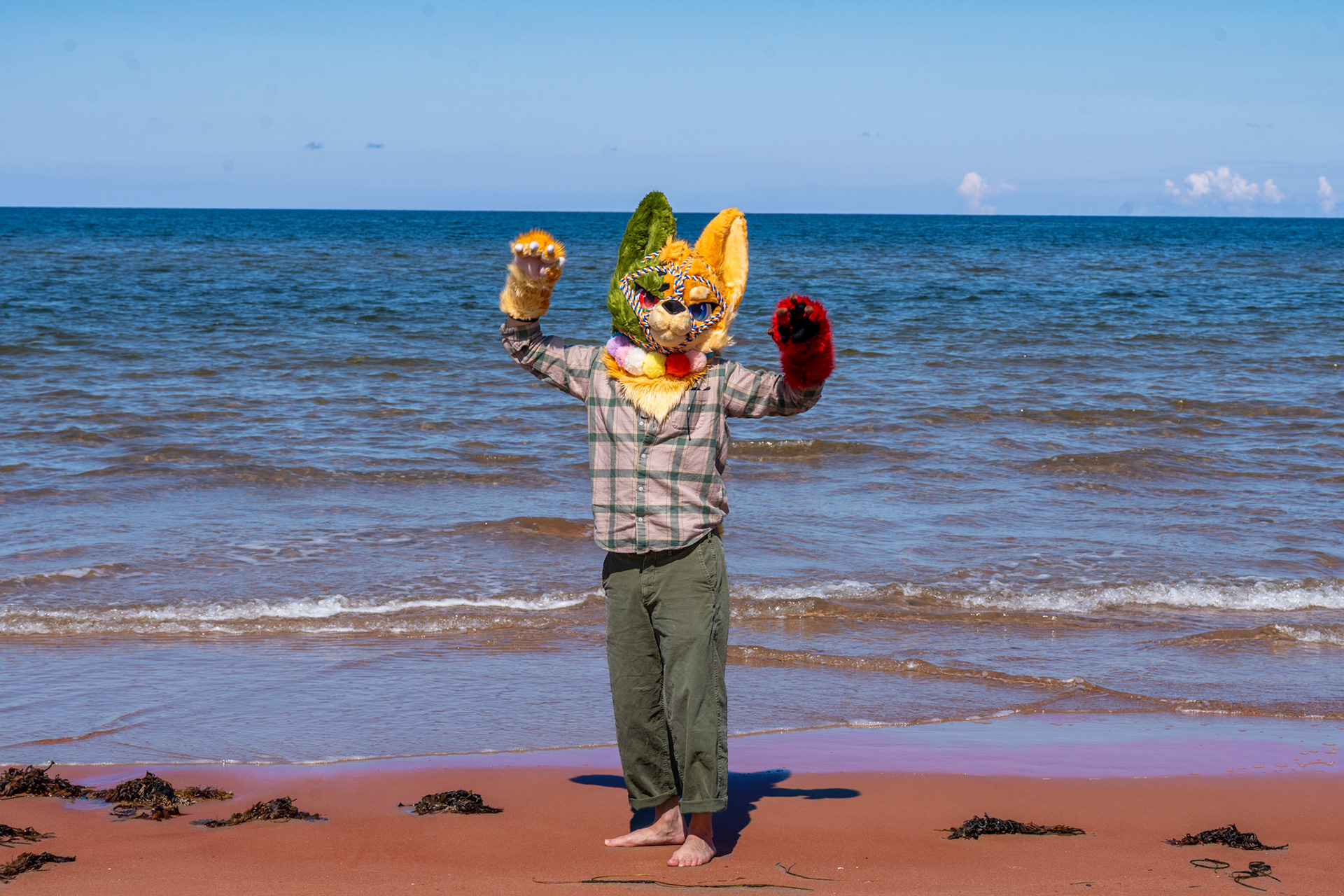 PEI Labour Day Trip