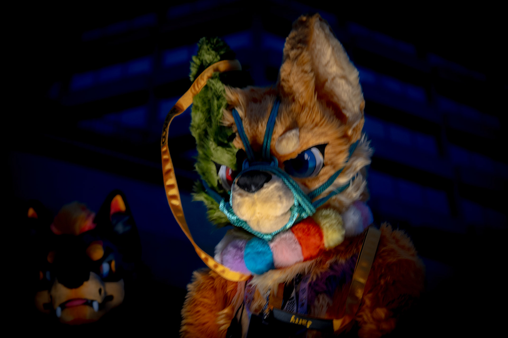 Furnal Equinox 2025