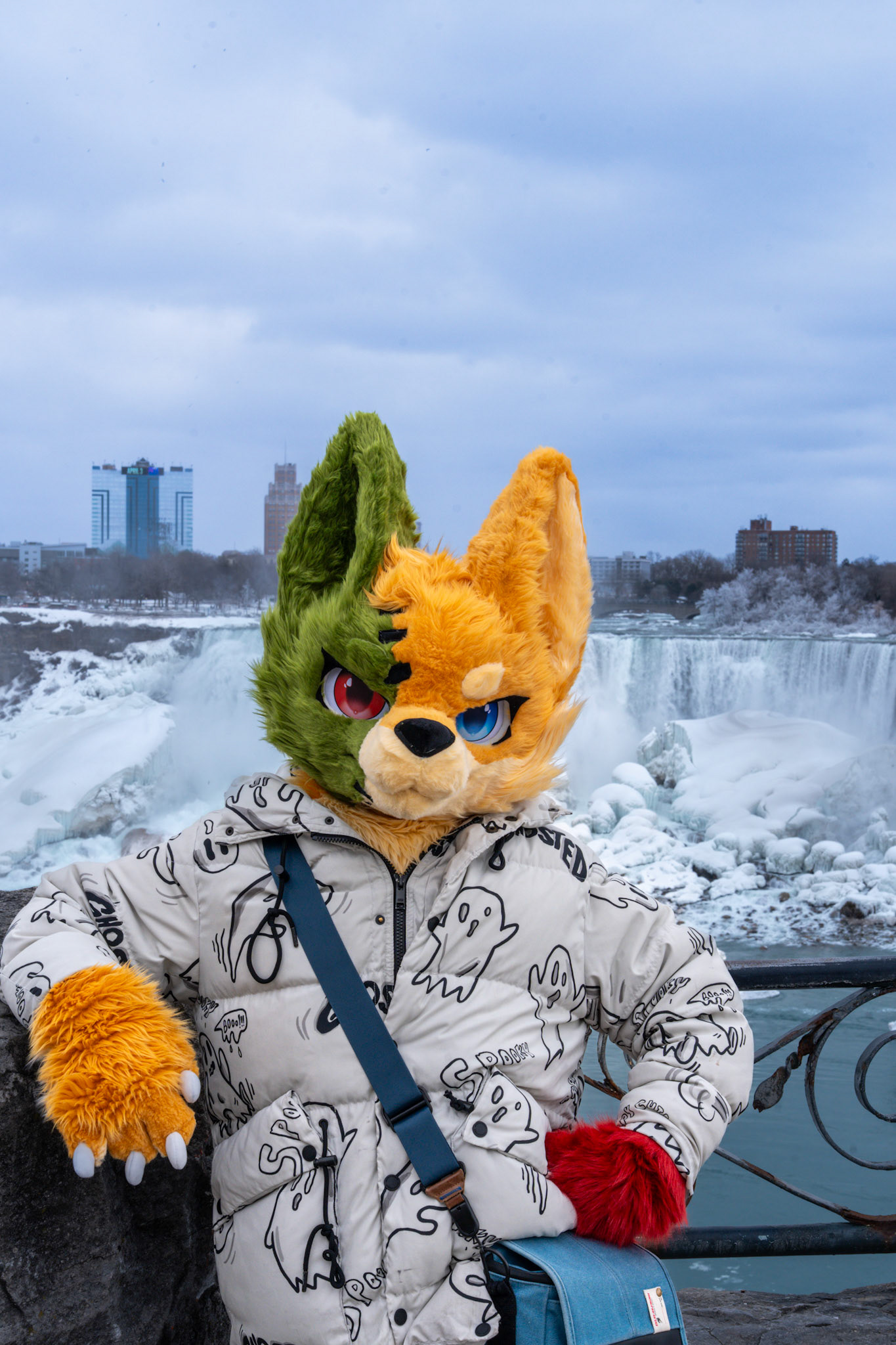 Niagara Winters