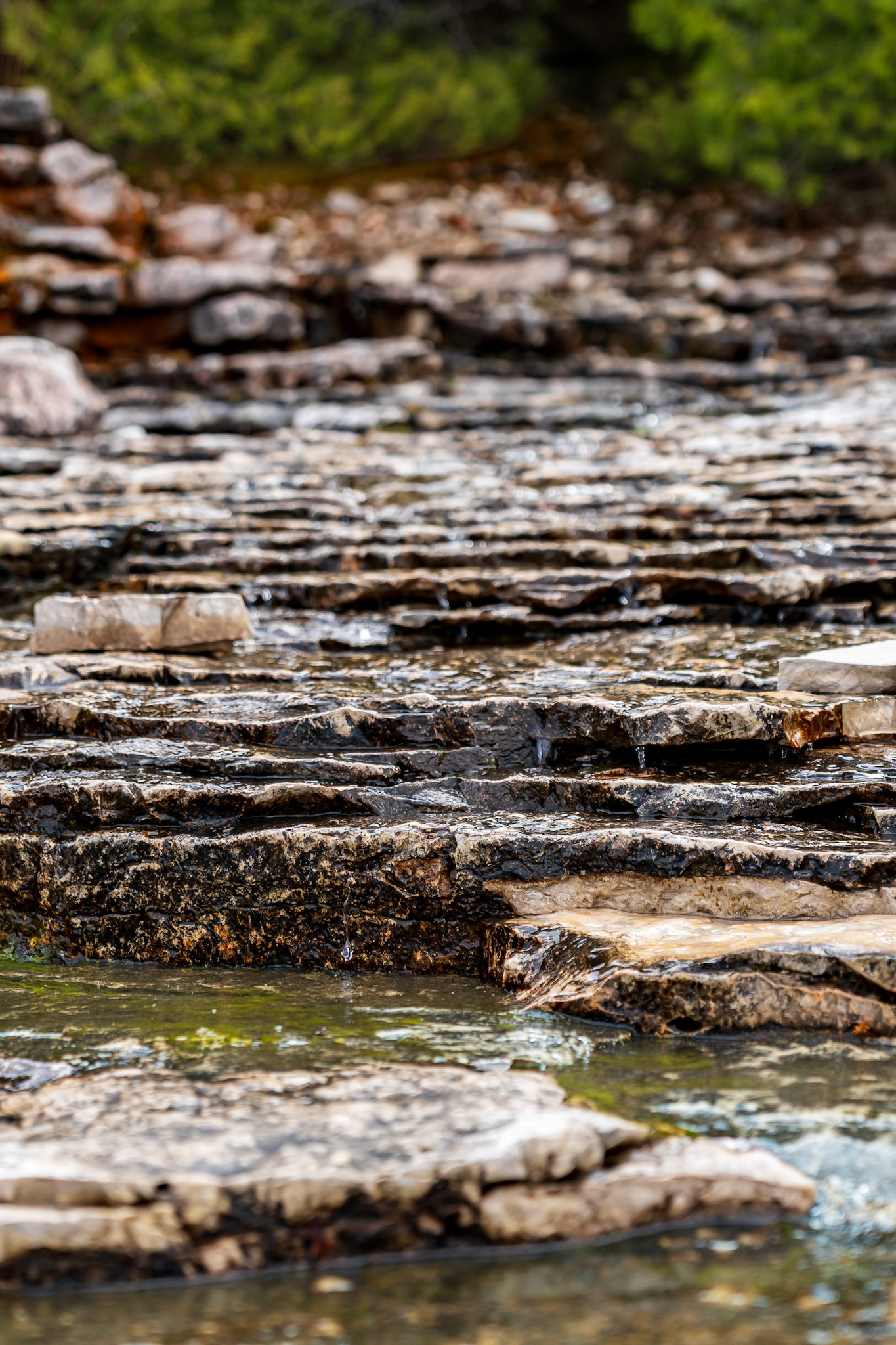 Bruce Peninsula