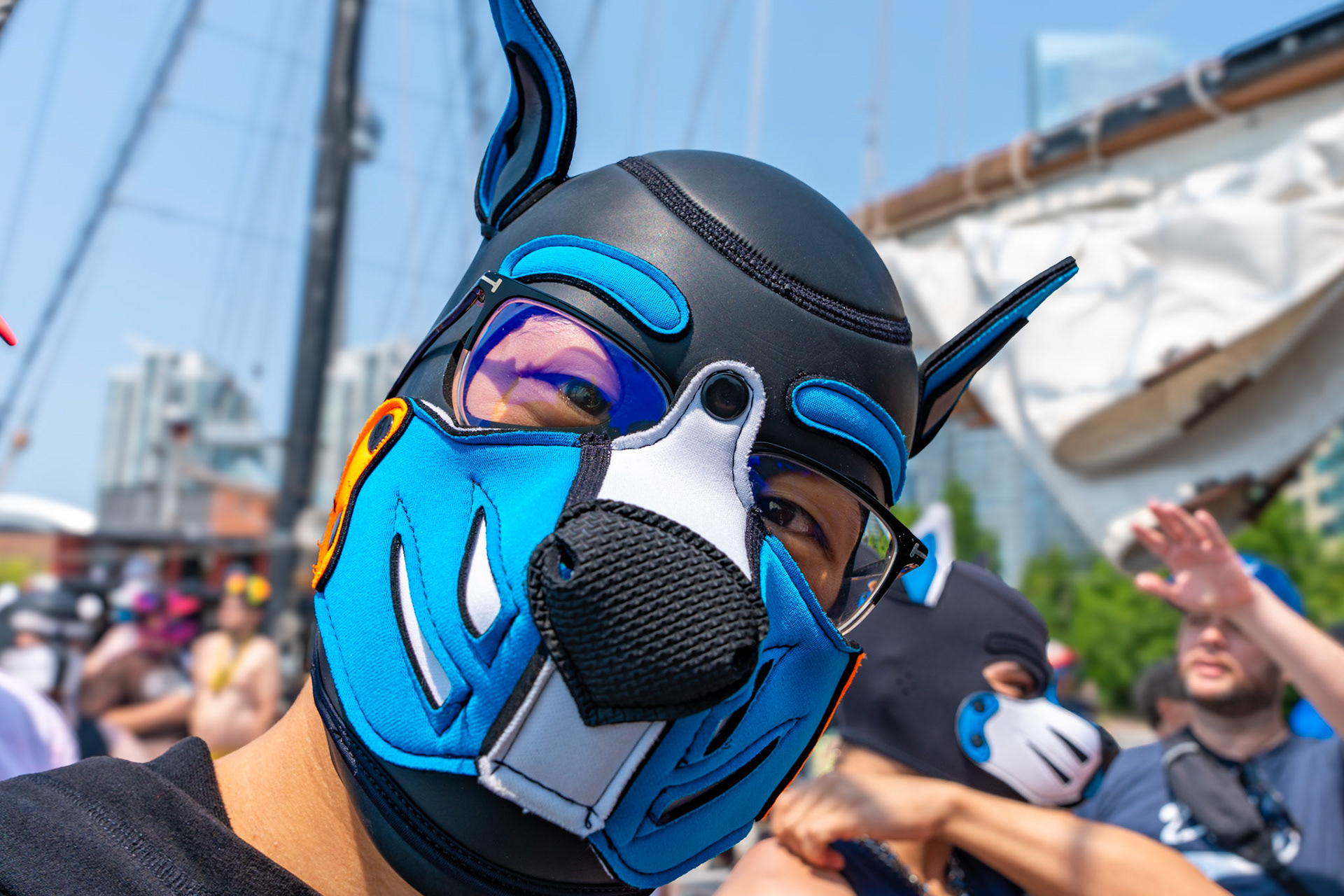 PUPPY CRUISE: ALL PAWS ON DECK