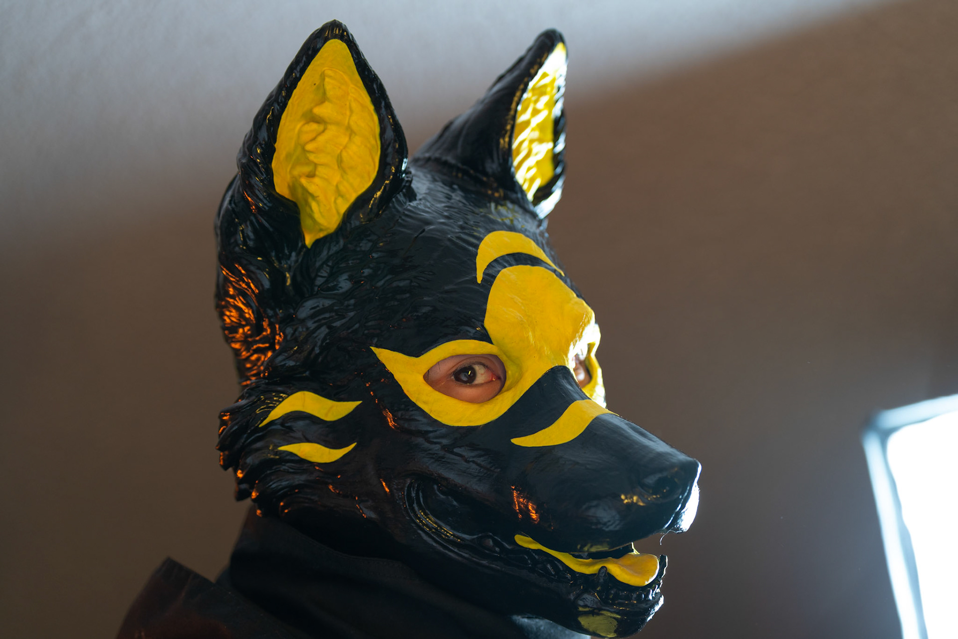 Anthrocon 2025