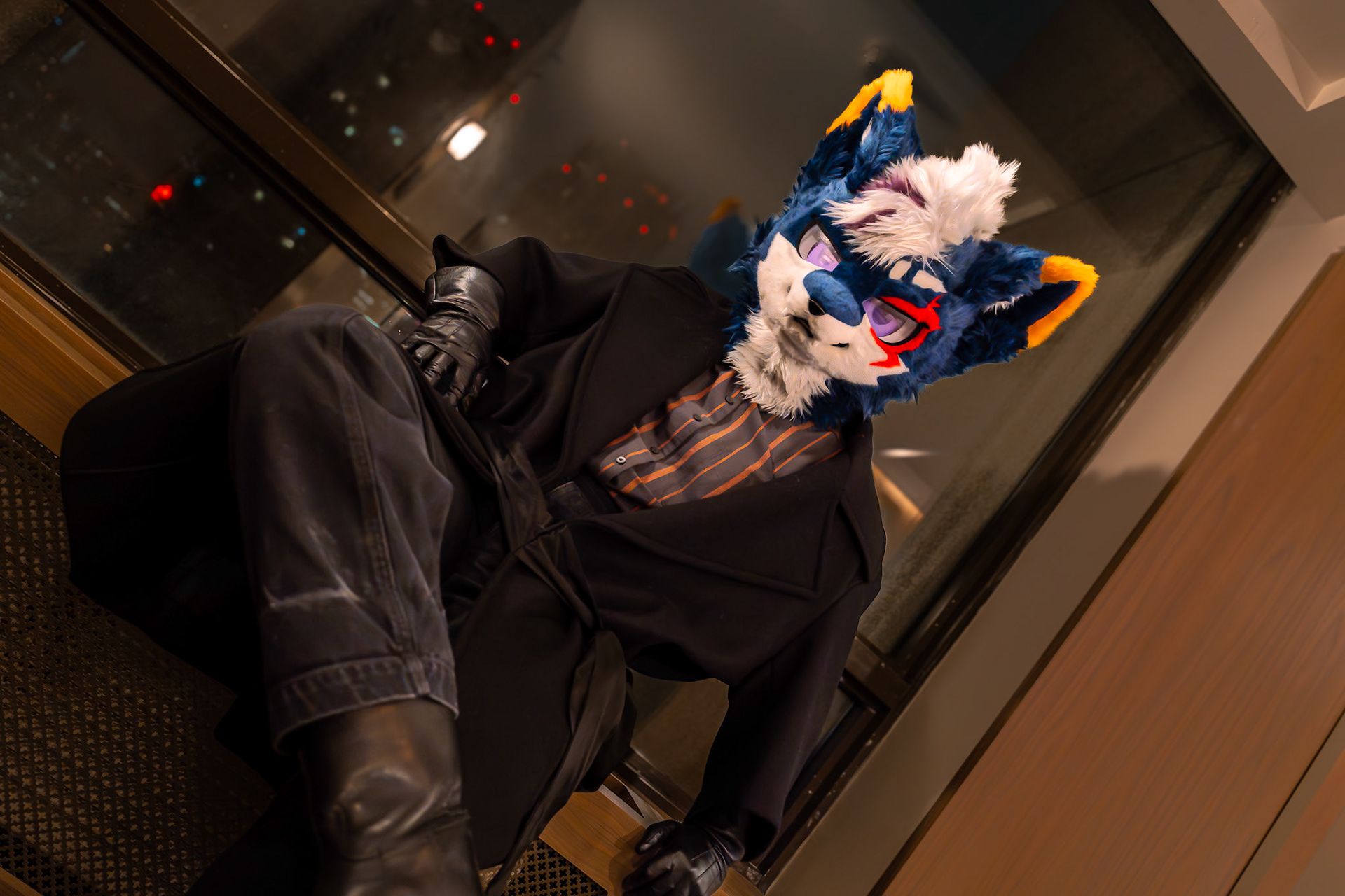 Furnal Equinox