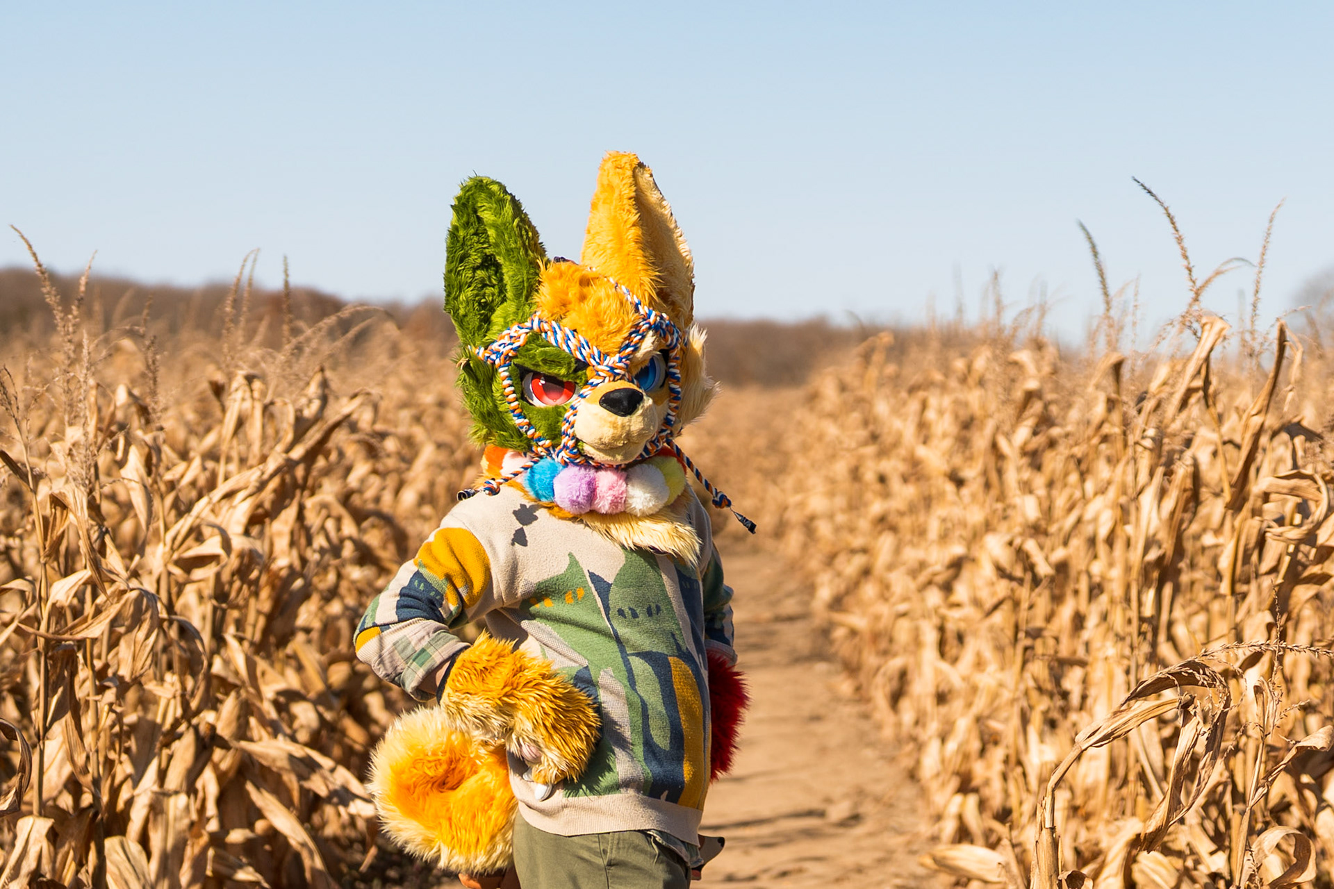Corn Maze