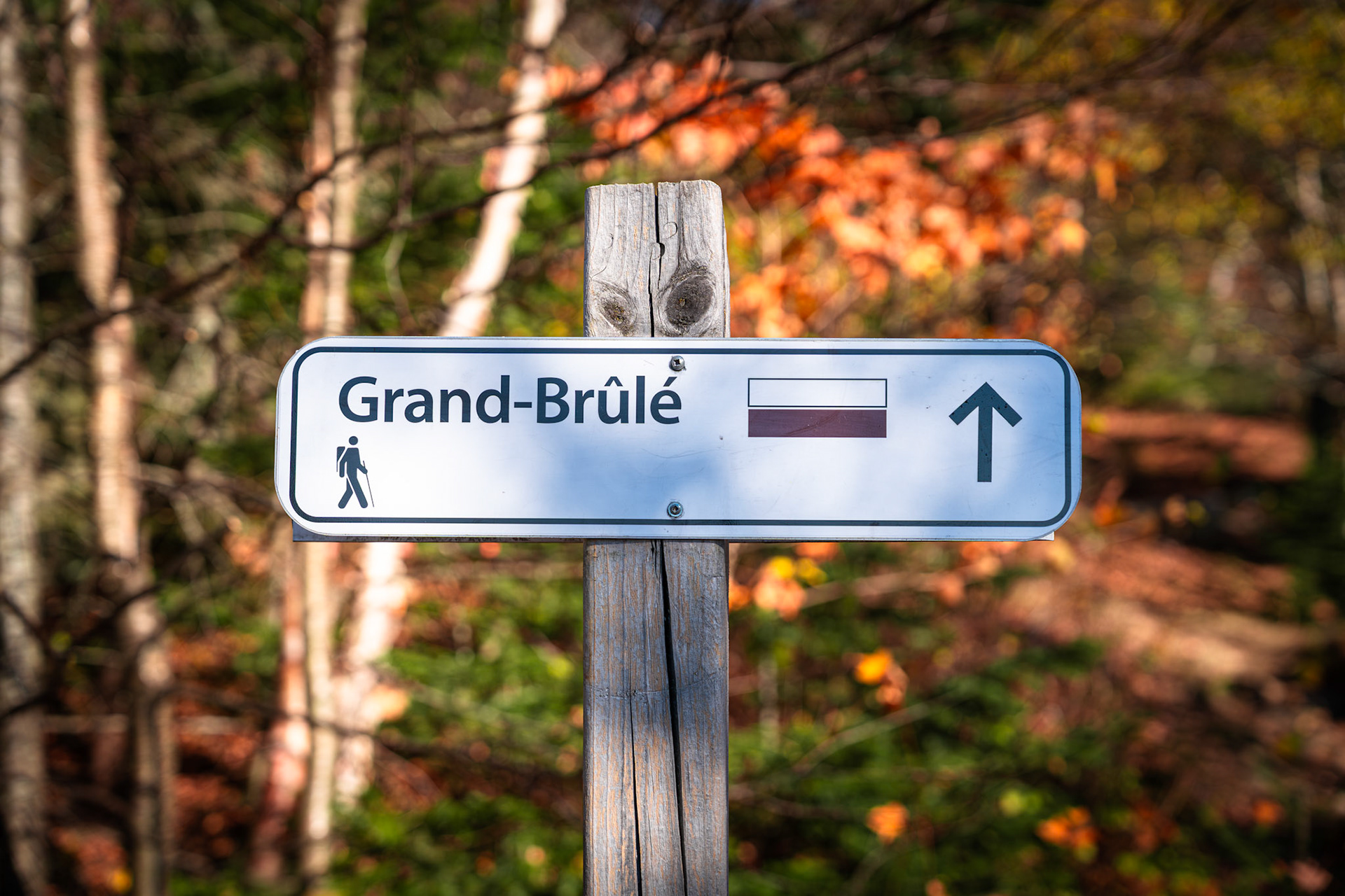 Grand Brûlé