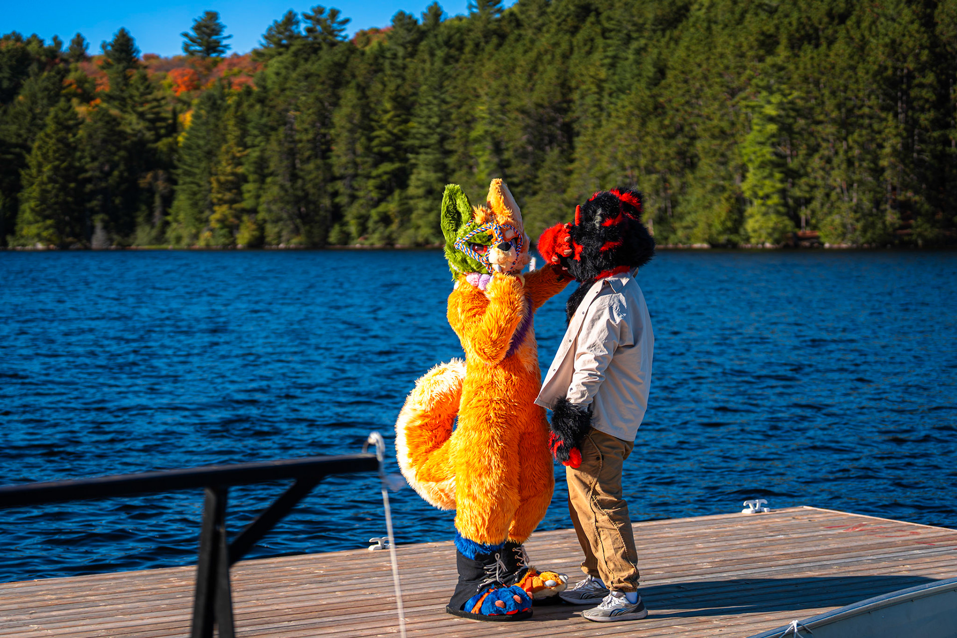 Algonquin Fall Colour