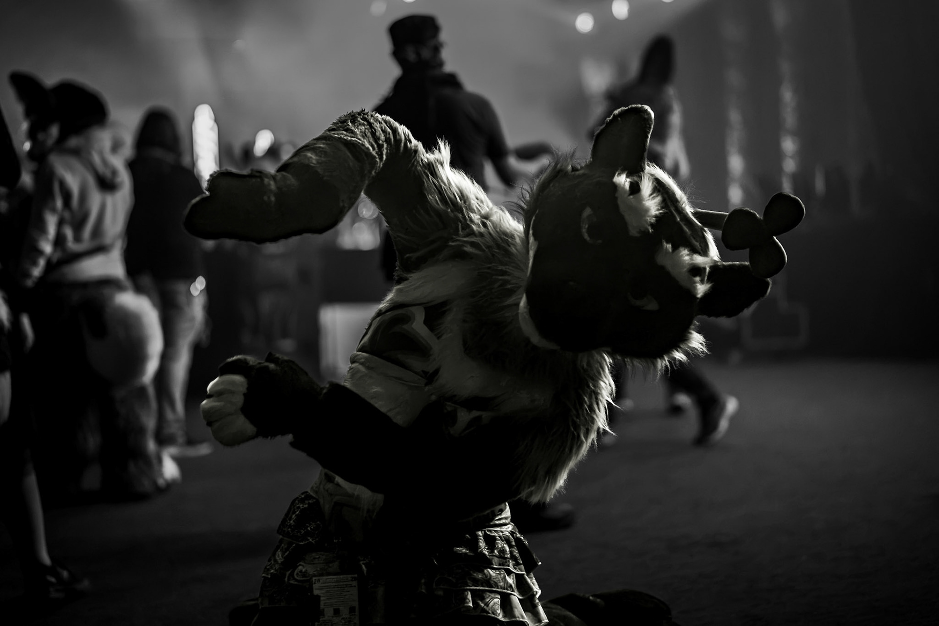 Anthrocon 2026
