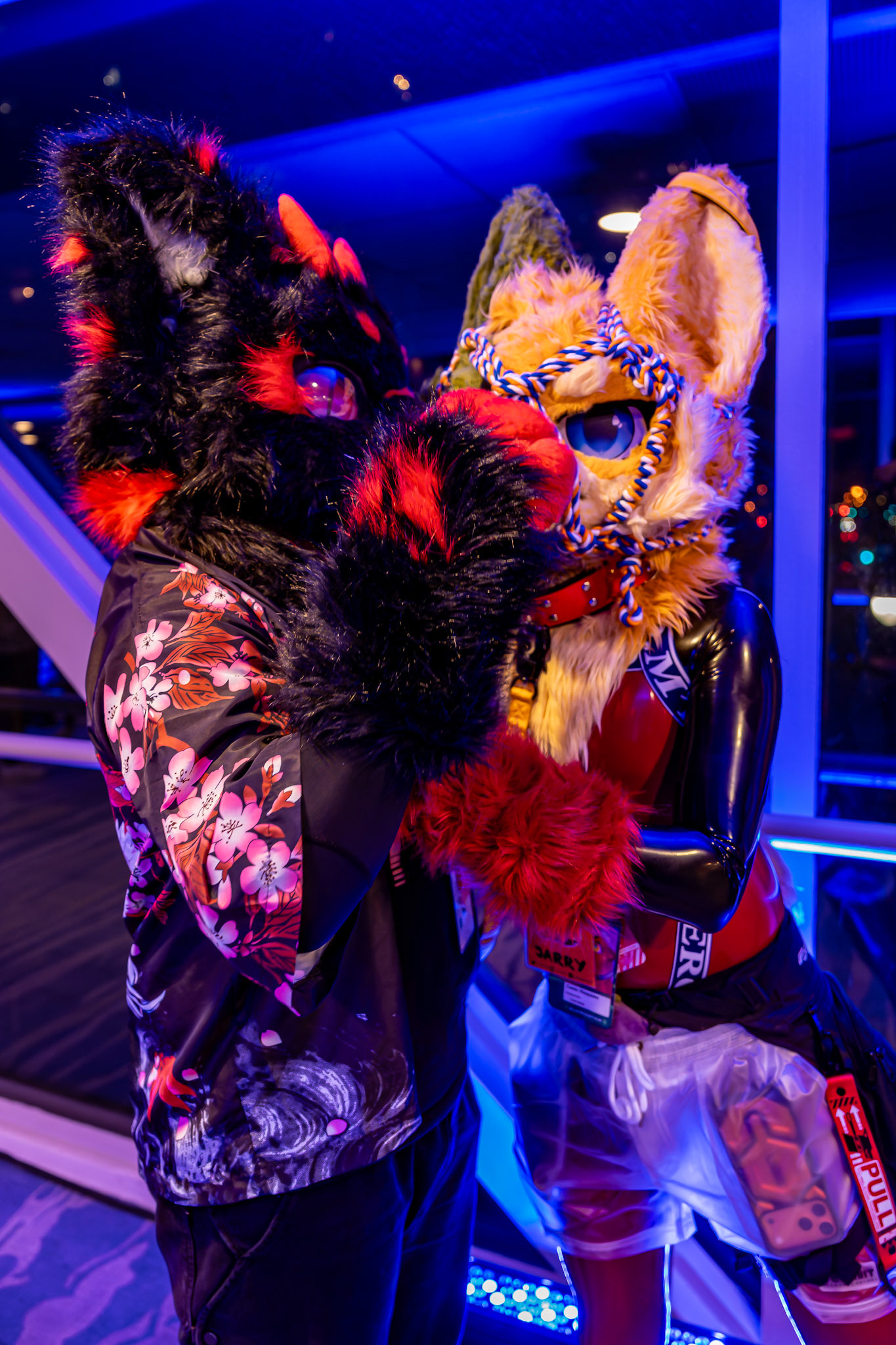 Furnal Equinox
