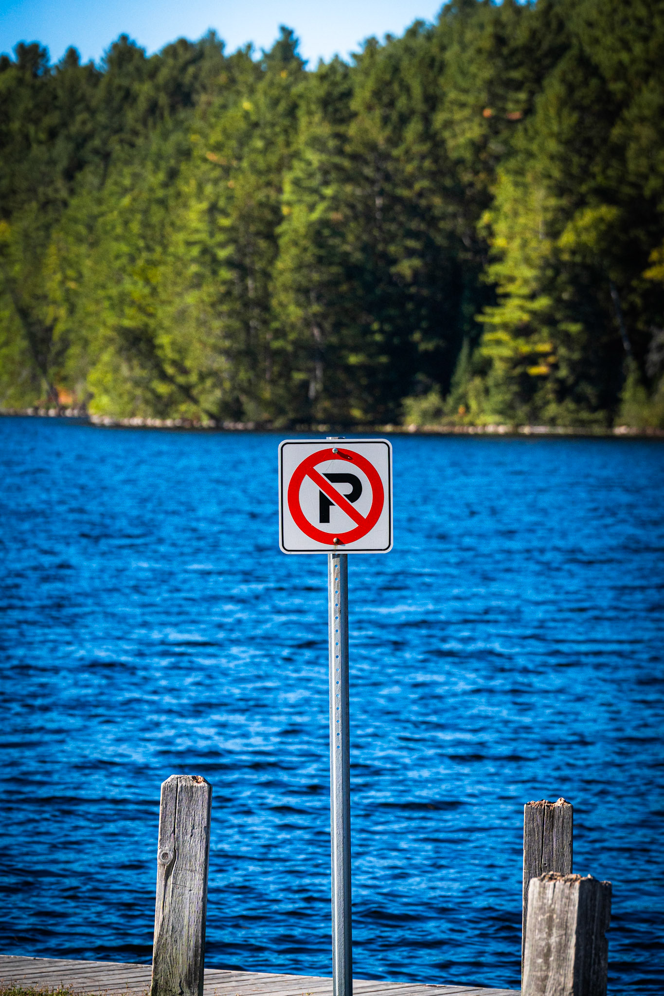 Algonquin Fall Colour