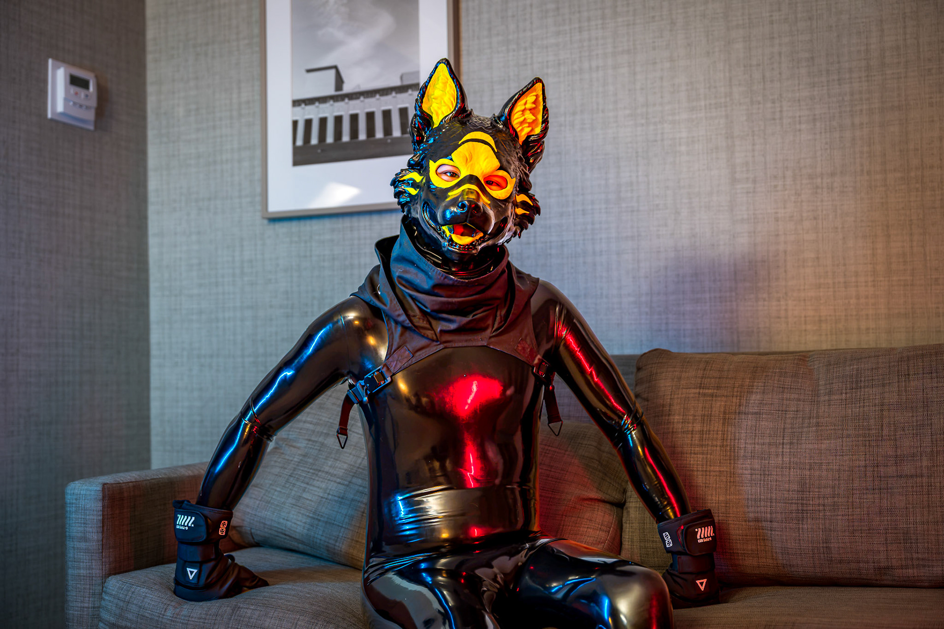 Anthrocon 2026