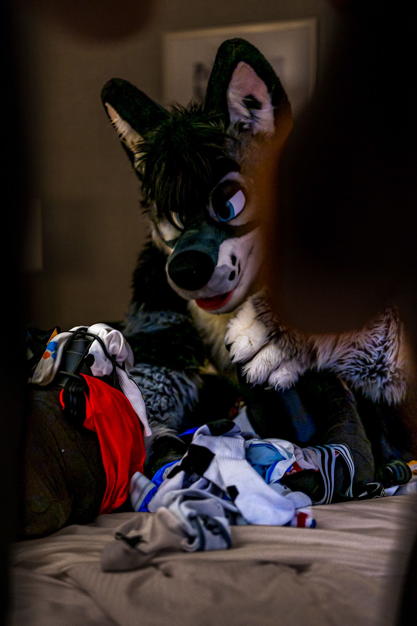 Anthrocon 2026