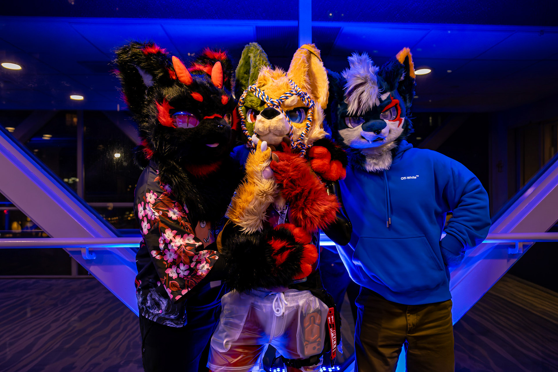 Furnal Equinox