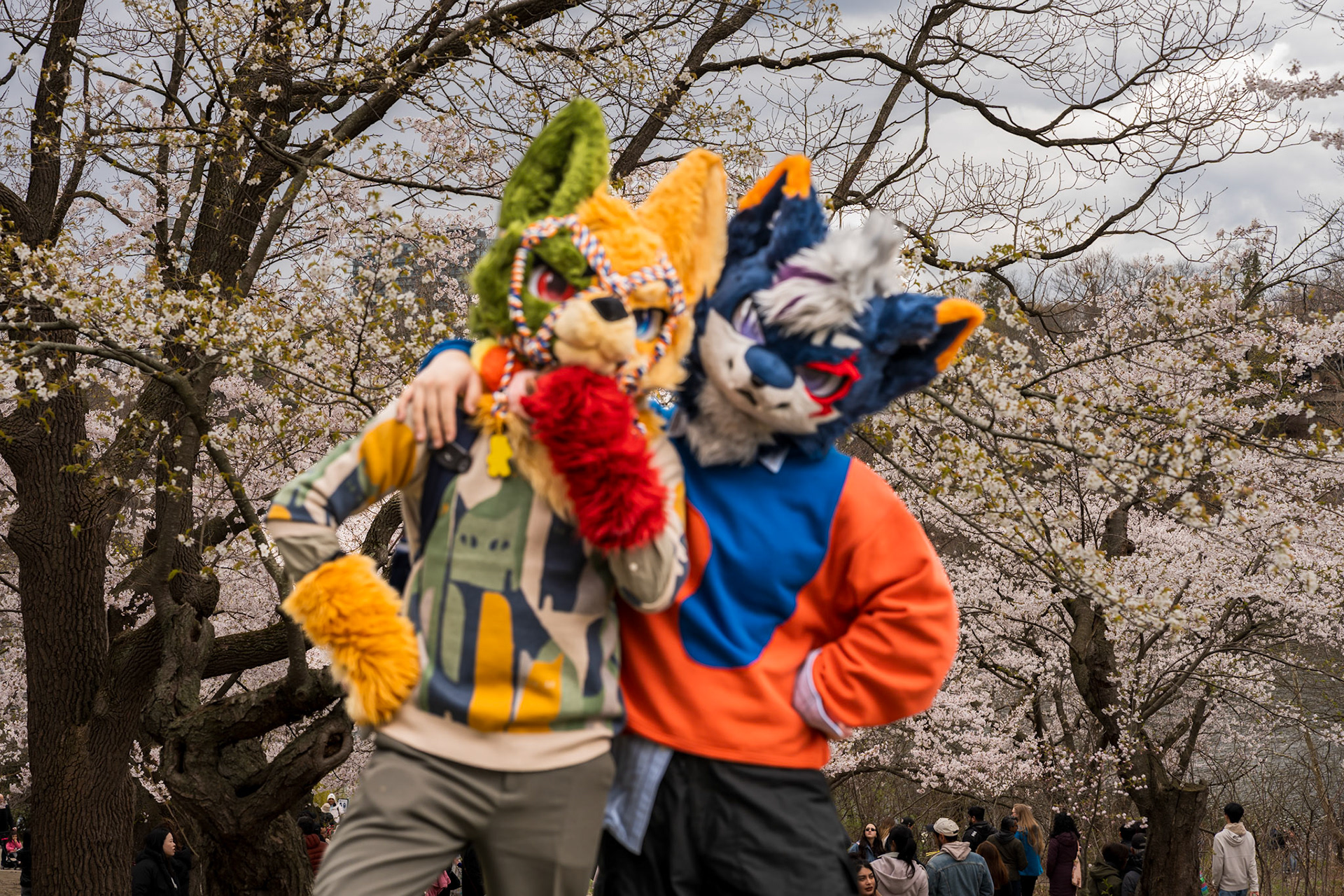 High Park 4.0