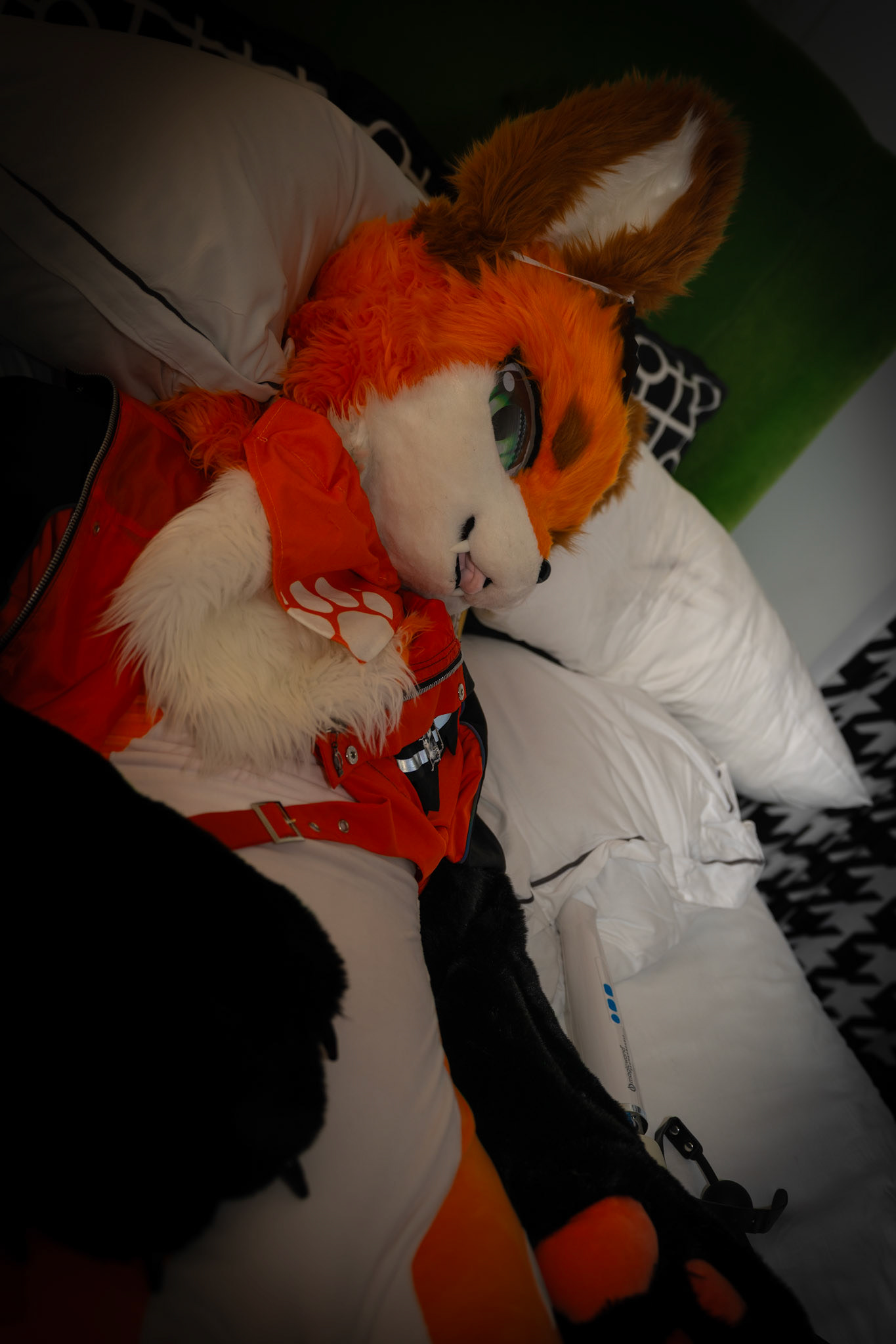 Anthrocon 2025