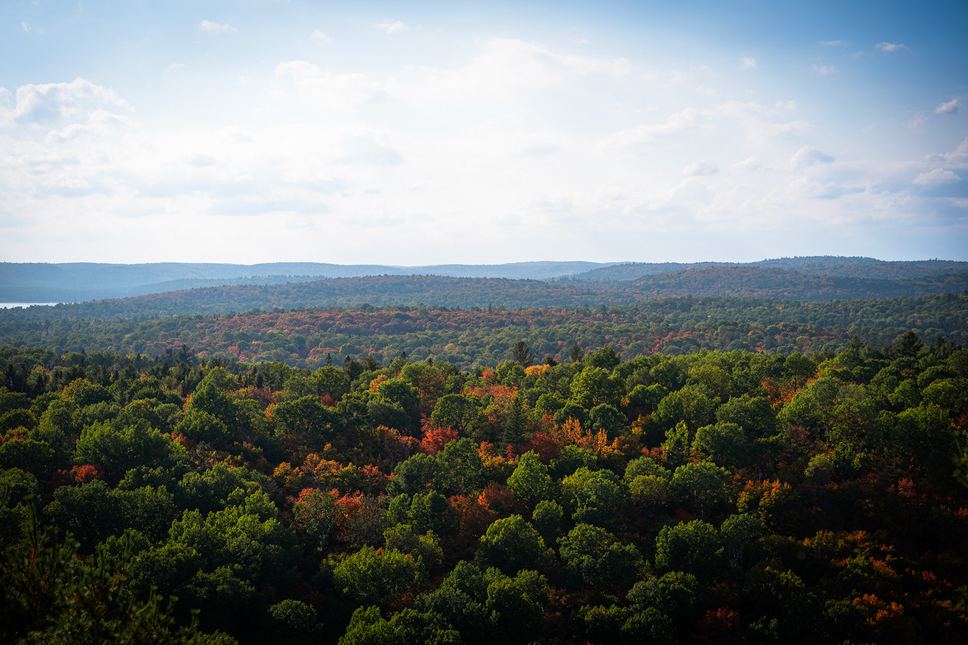 Algonquin Fall Colour