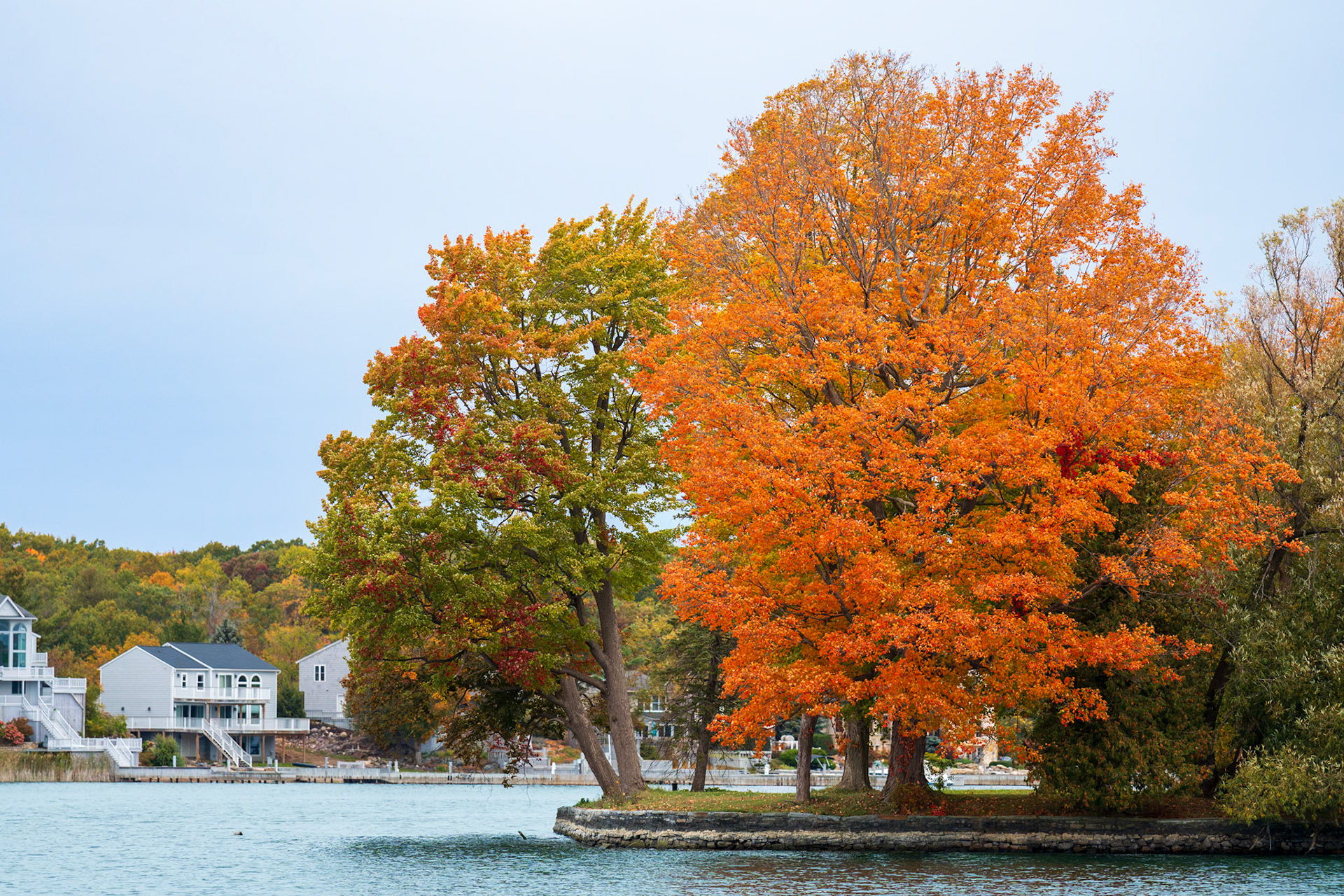 Rockport Cruise