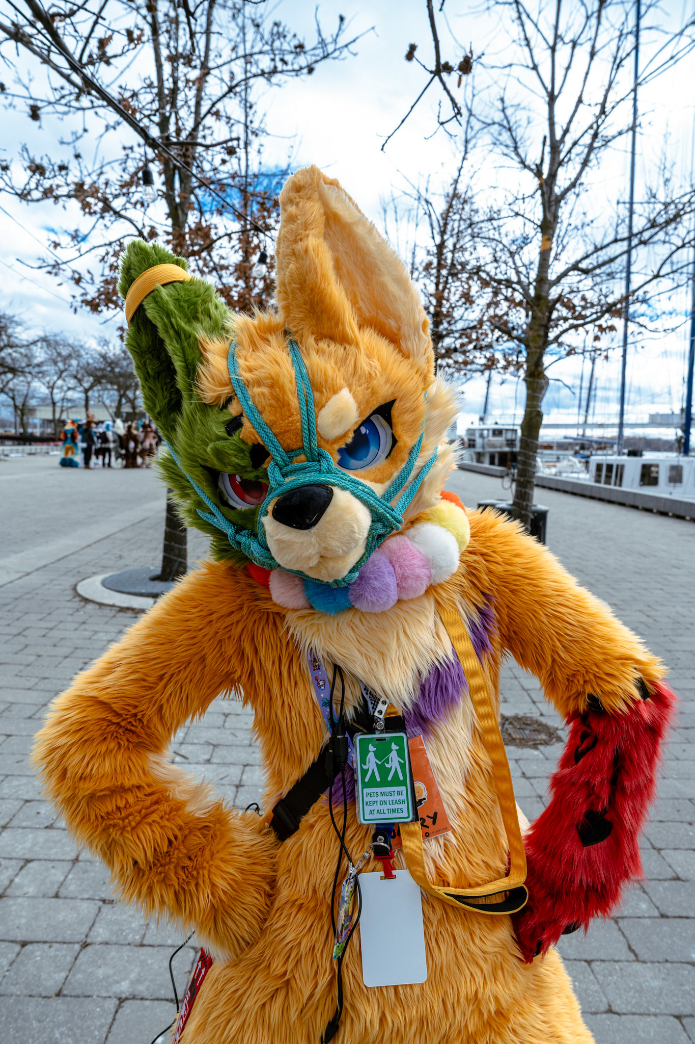 Furnal Equinox 2025