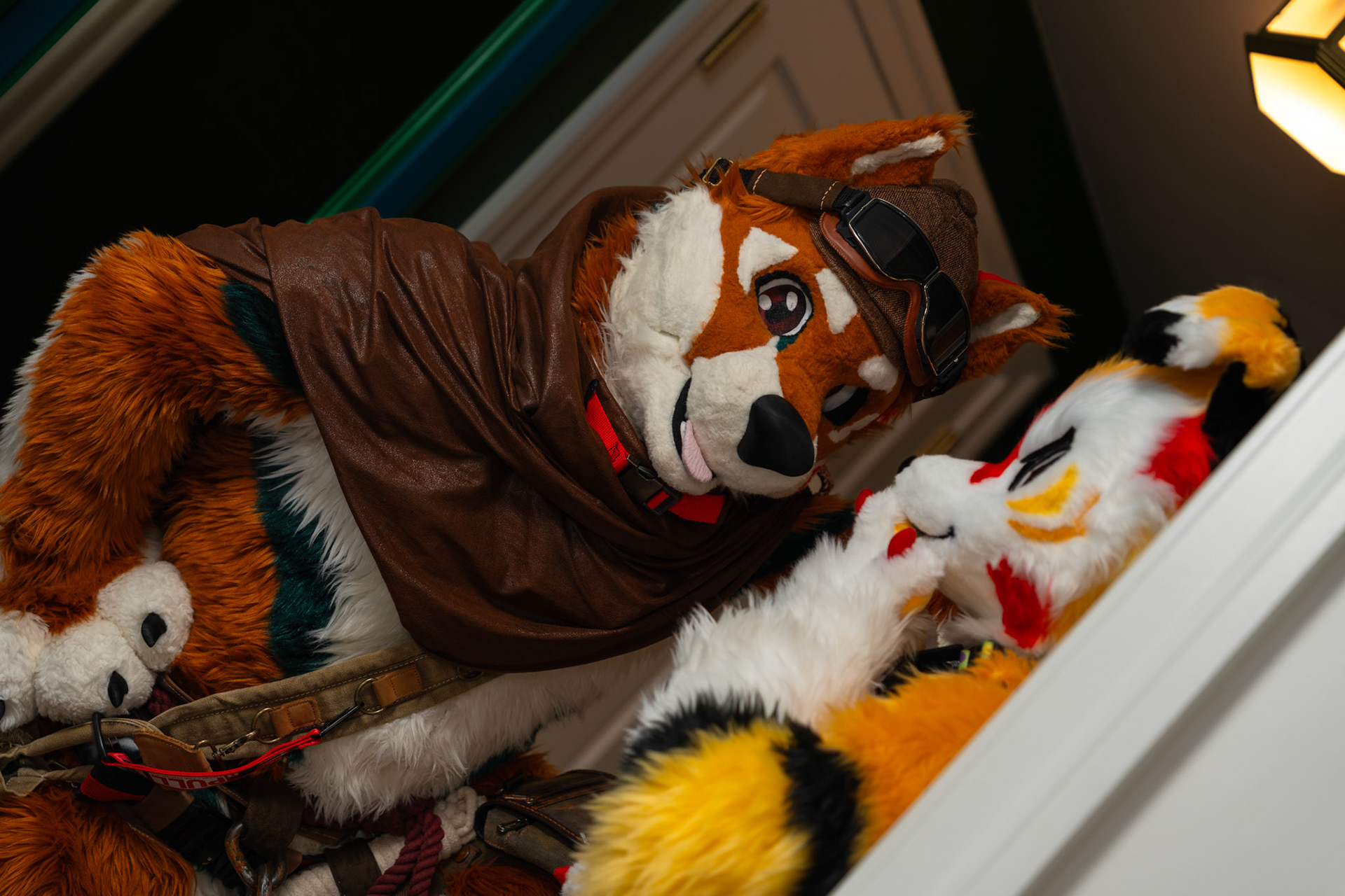Anthrocon 2025